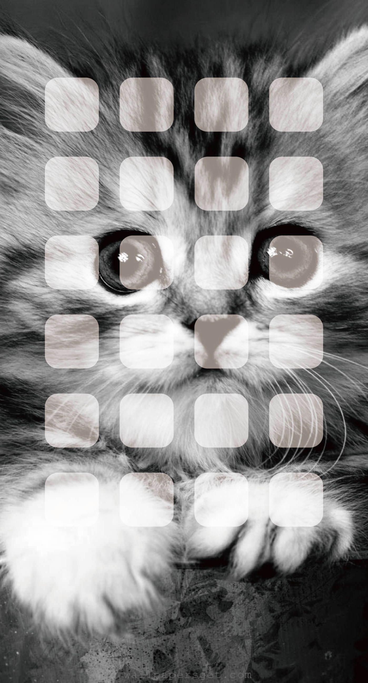1398x2592 Animal cat shelf monochrome for girls. wallpaper.sc iPhone6sPlus