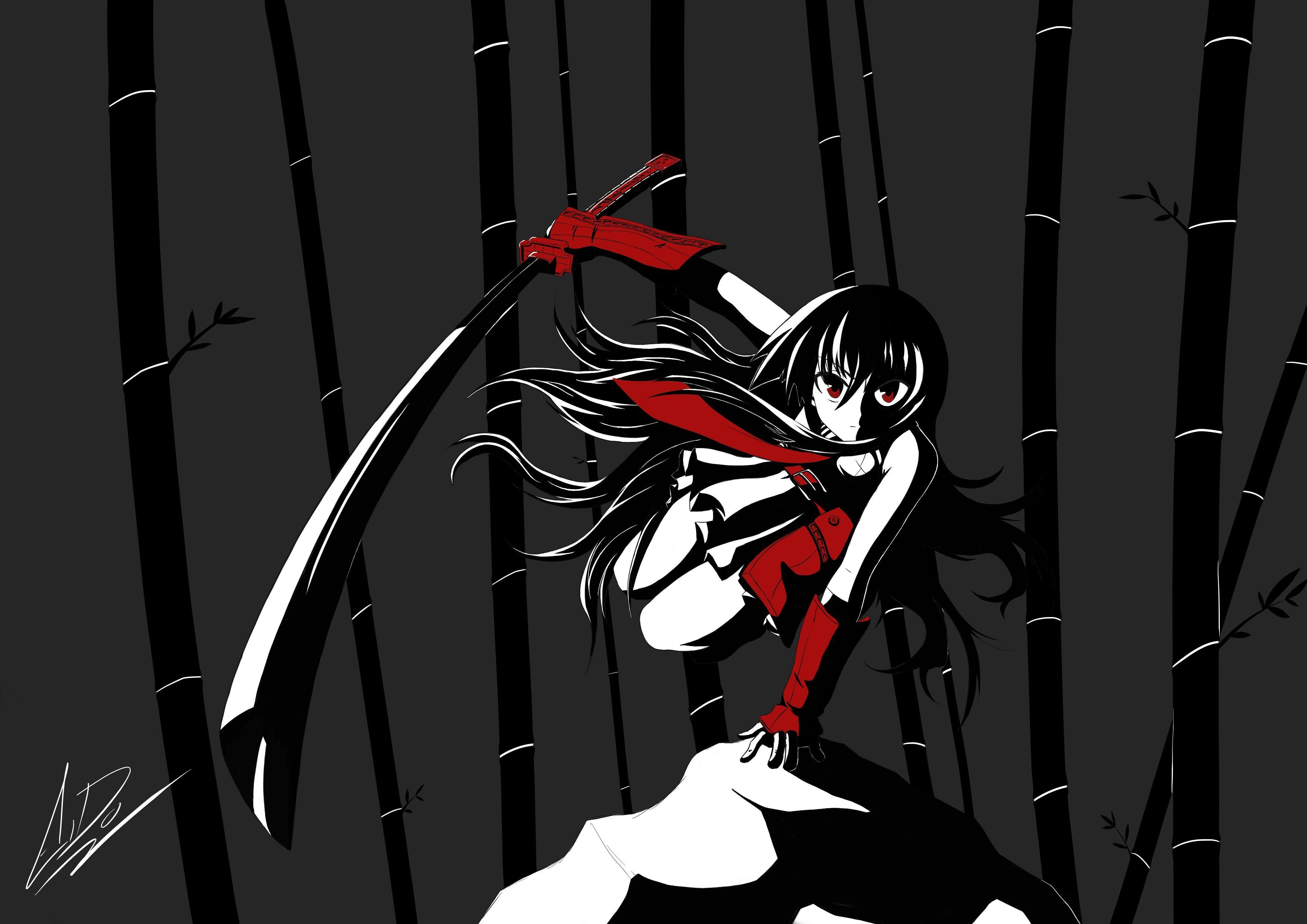 3507x2480 Girls With Katana Wallpaperx2480