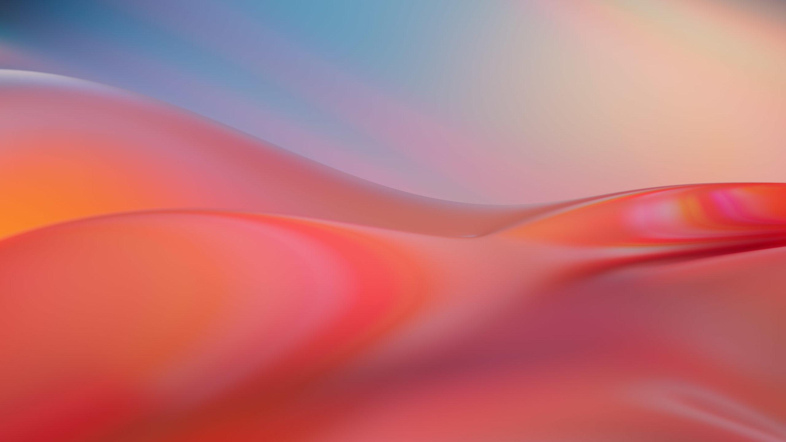 2560x1440 Download High Quality Windows 11 Wallpaper