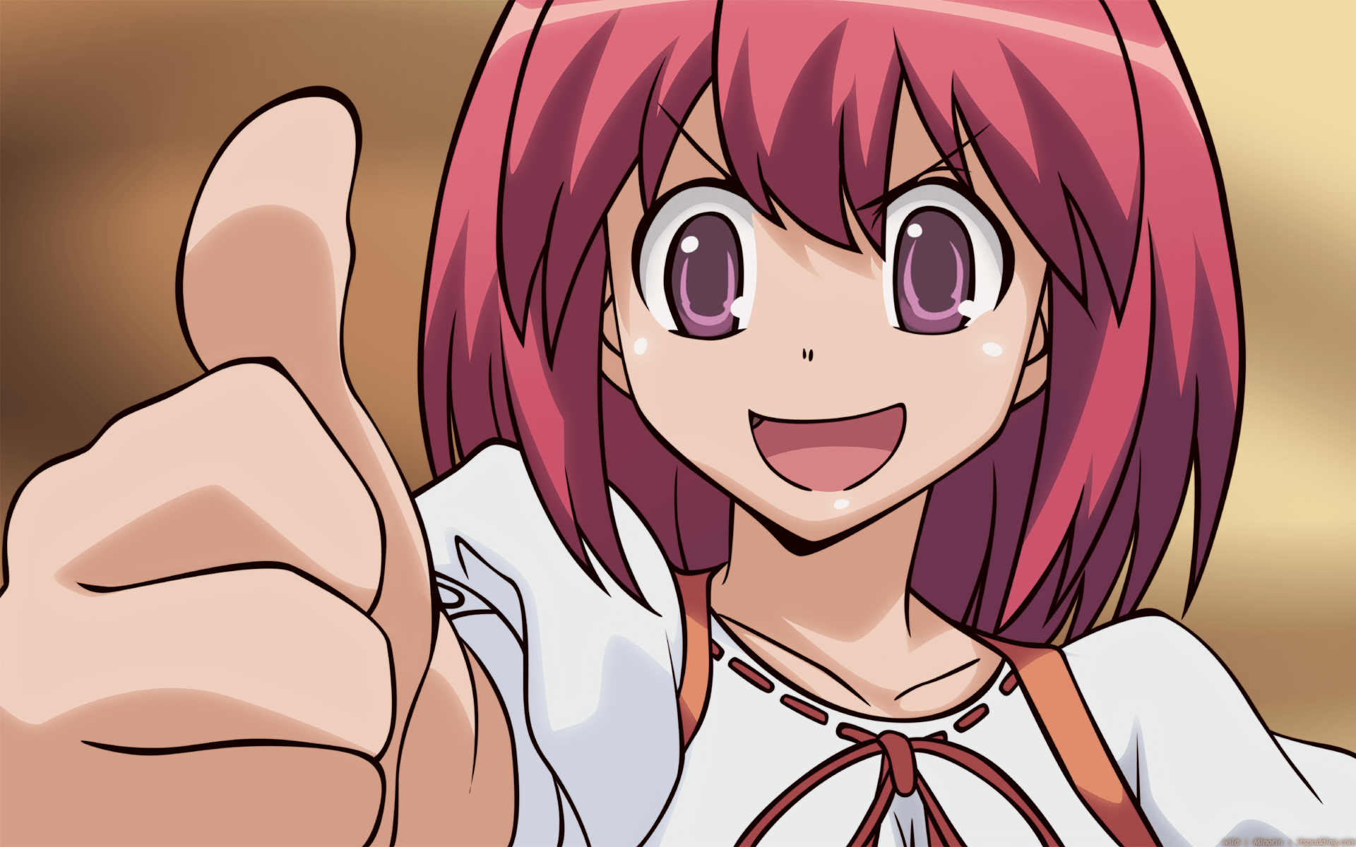 1920x1200 vectors, Kushieda Minori, Toradora, anime girls Wallpaper /