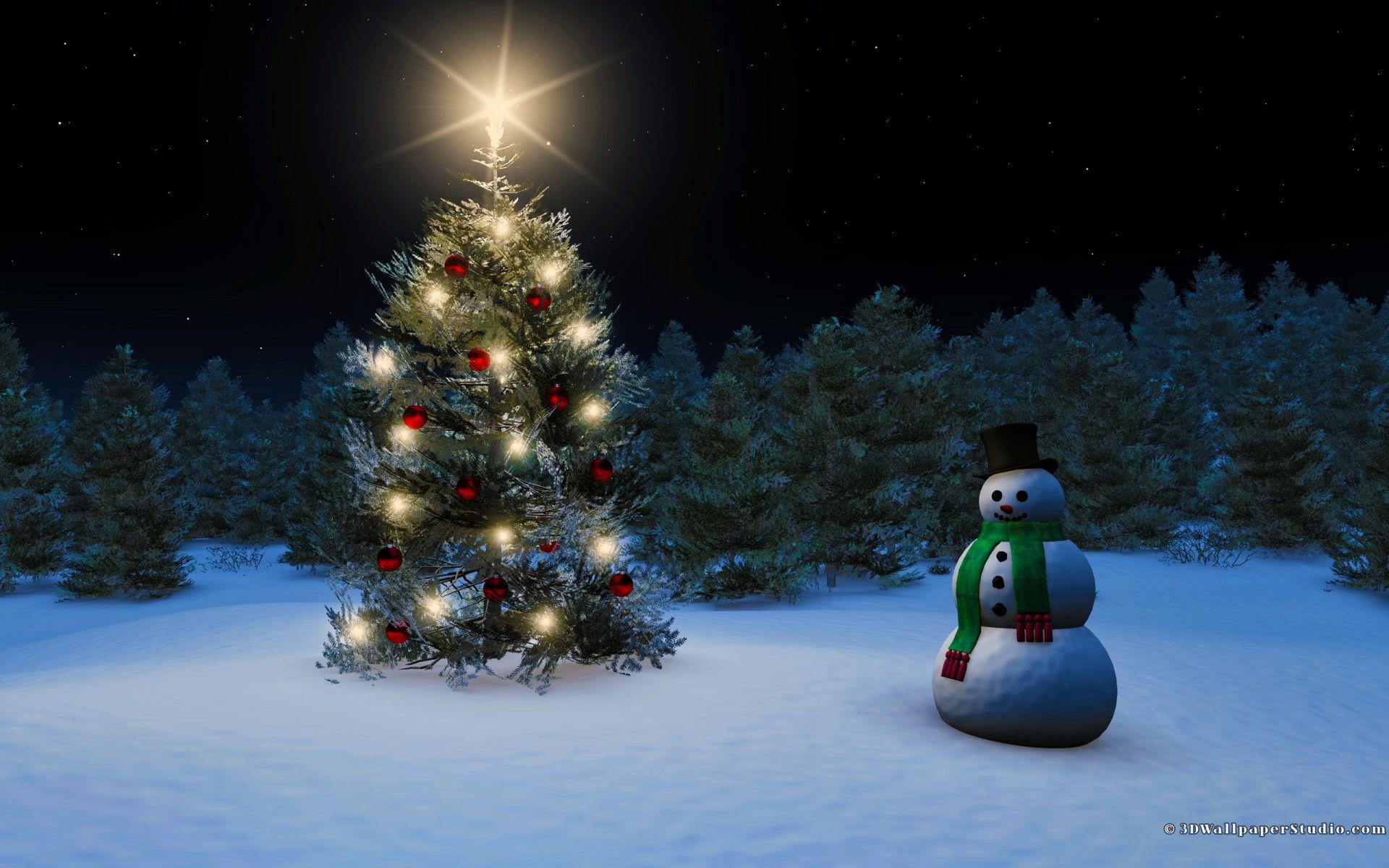1920x1200 Christmas Tree Snow Wallpaper
