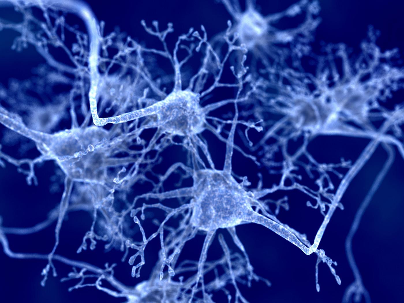 1400x1050 Astrocytes in Brain Possible Progressive MS Trigger via Processes of Metabolism, Study Finds