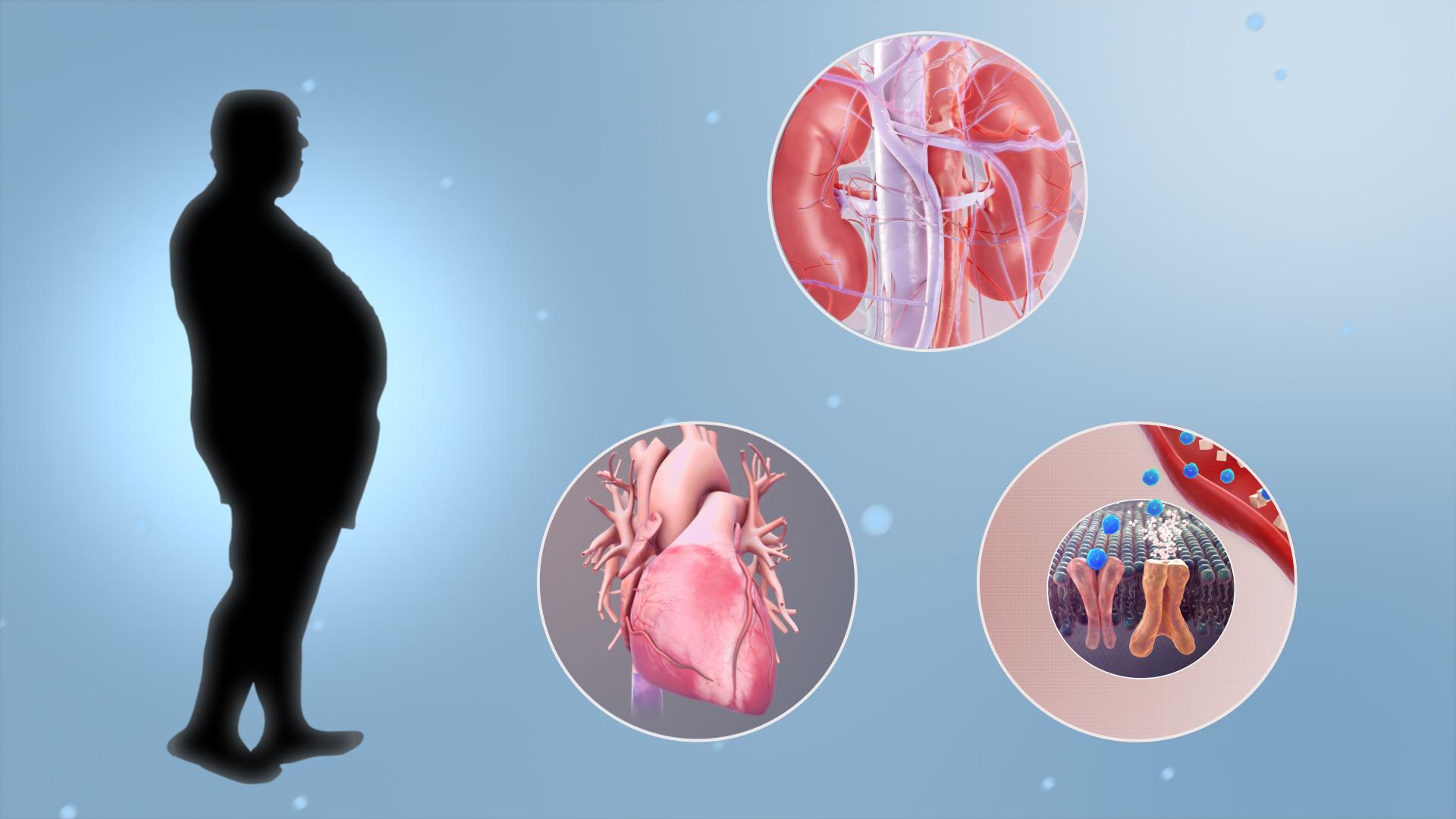 1920x1080 Digital Disruption of Metabolism: How Screens Affect Your Physical Health