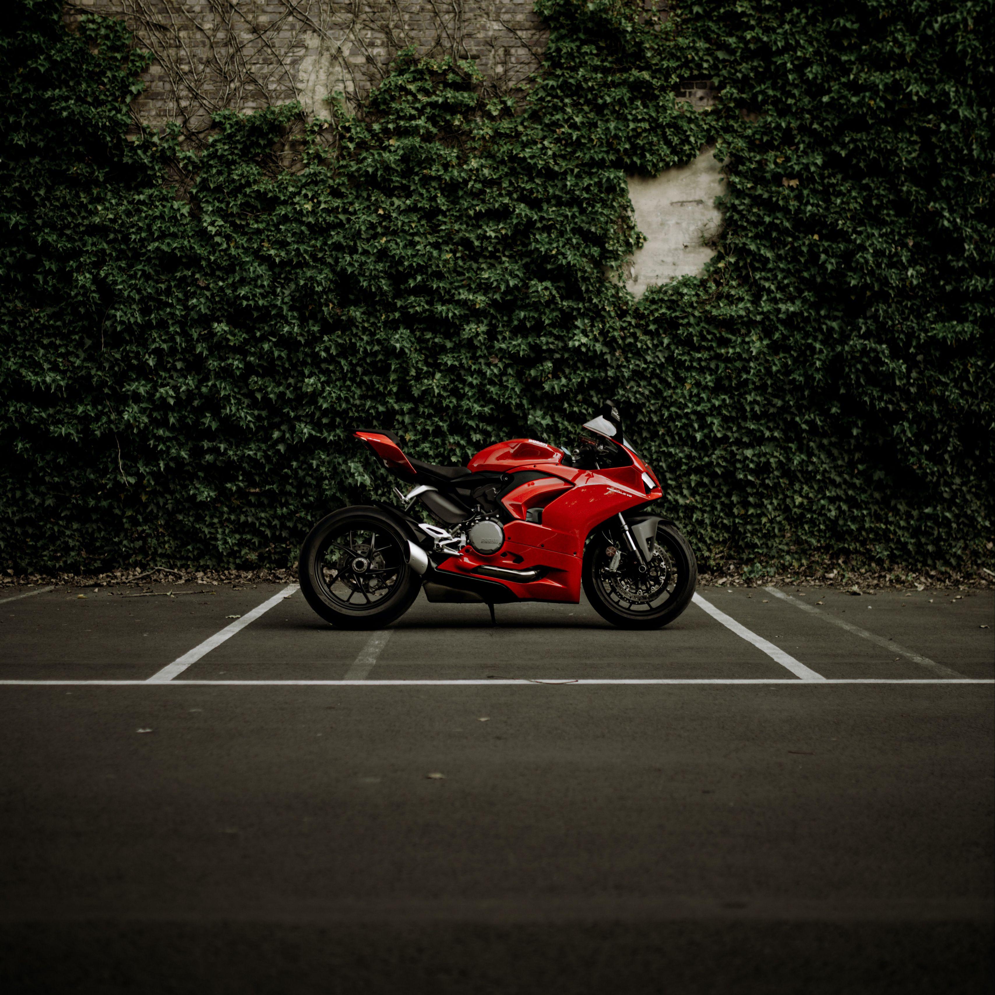 3415x3415 Download wallpaper 3415x3415 ducati panigale v ducati, motorcycle, bike, red ipad pro 12.9 retina for parallax HD background