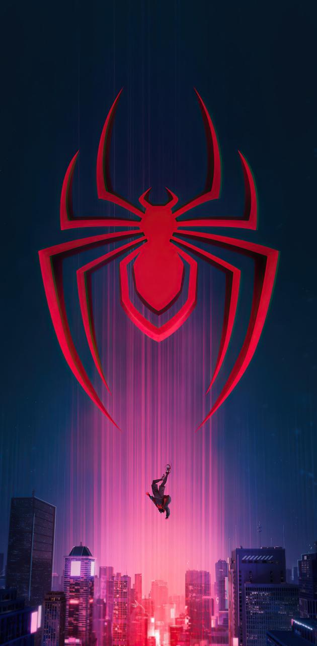 630x1280 Spiderman Logo wallpaper