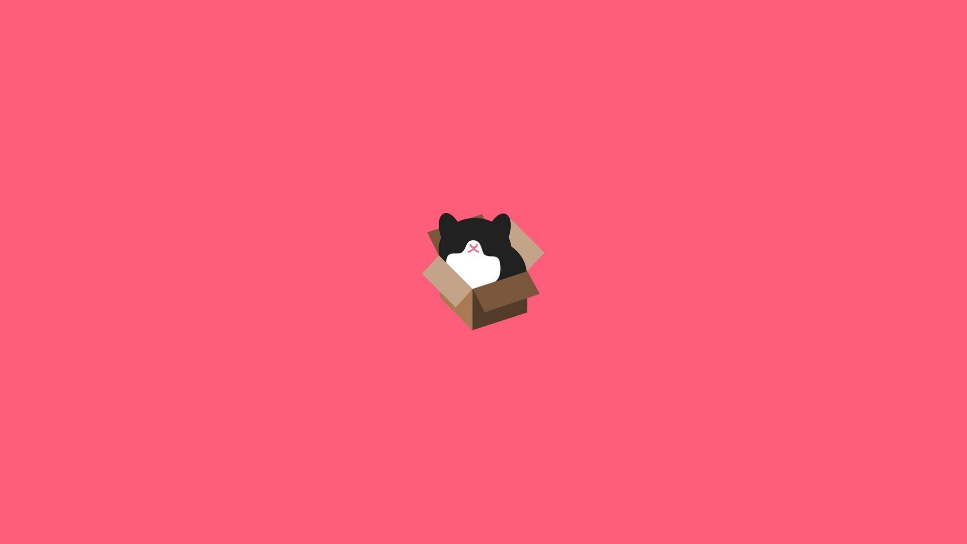 1920x1080 Download wallpaper 1920x1080 cat, box, design, minimalism full HD (2022)