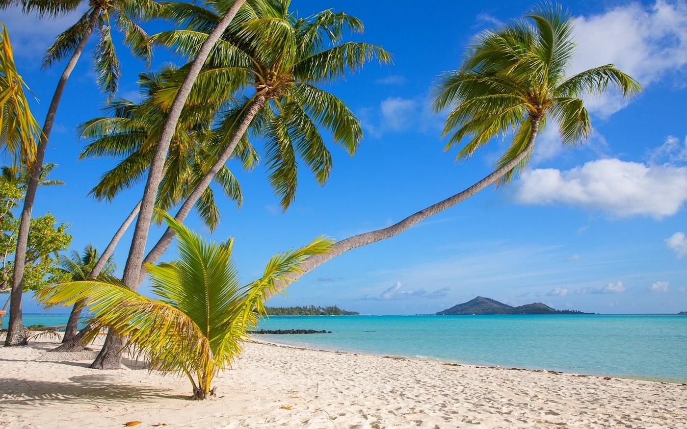 1400x875 nature, Landscape, Tropical, Bora Bora, Beach, Island, White, Sand, Sea, Palm Trees, Summer, French Polynesia Wallpaper HD / Desktop and Mobile Background