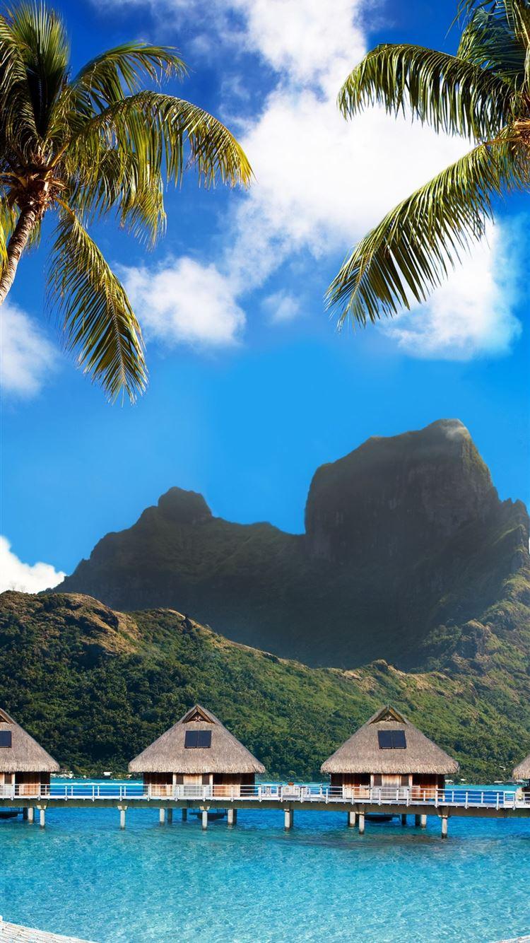 750x1334 Beautiful Image Of Bora Bora Ecopetit cat iPhone 8 Wallpaper Free Download