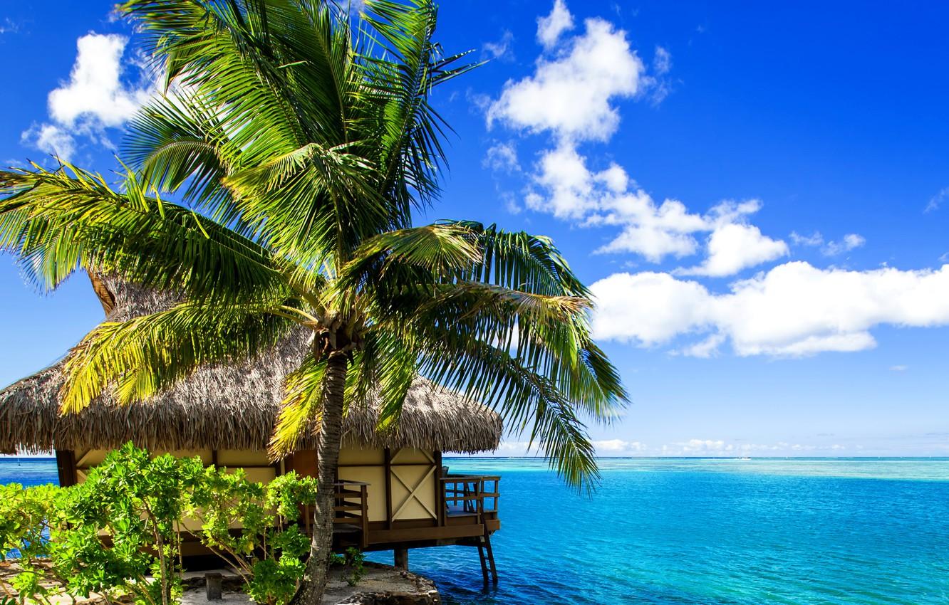 1332x850 Wallpaper Sand, Sea, Tropics, Palm Trees, Shore, Bungalow, Bora Bora, French Polynesia Image For Desktop, Section пейзажи