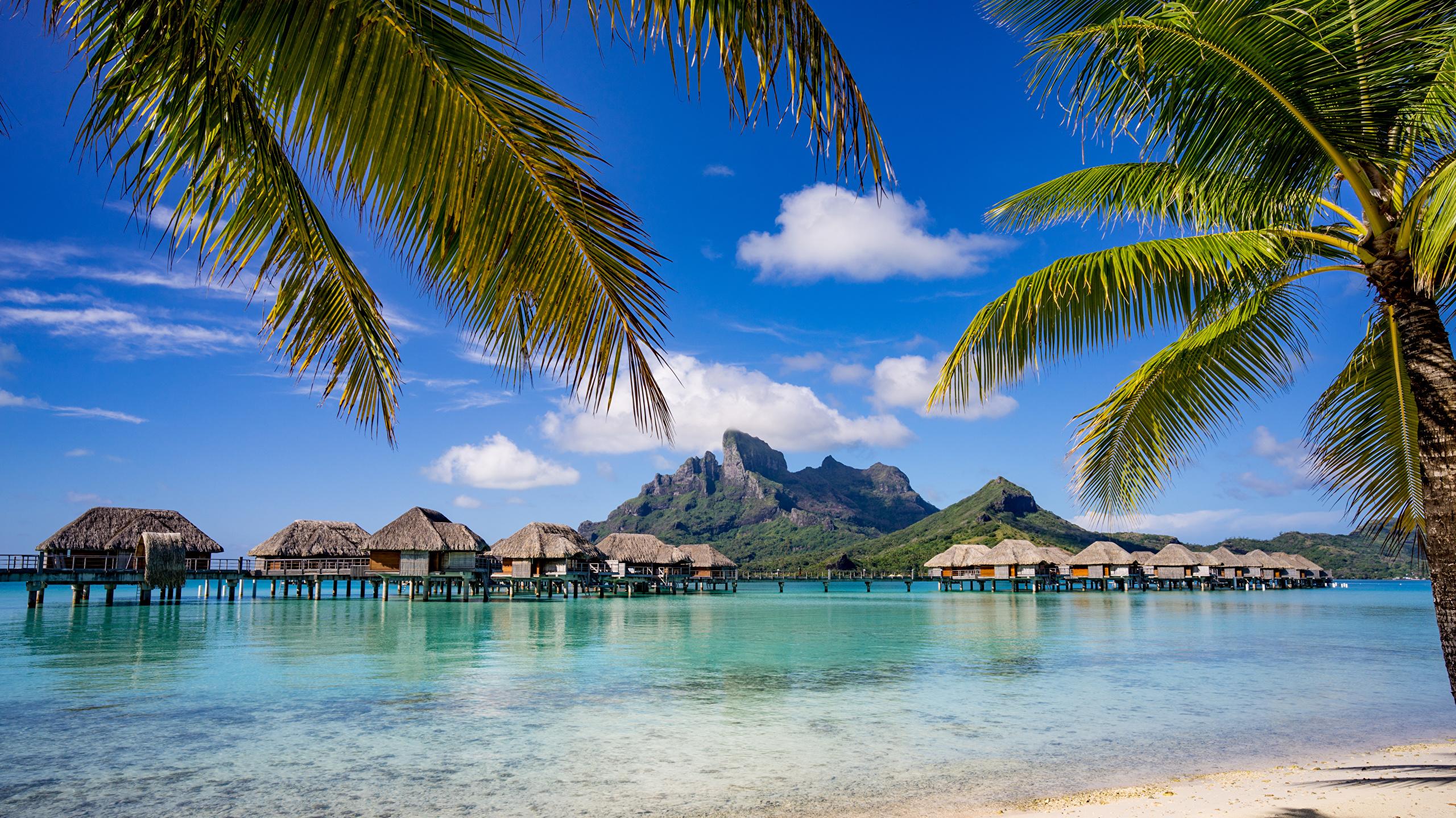 Bora Bora French Polynesia Wallpapers - Top Free Bora Bora French ...