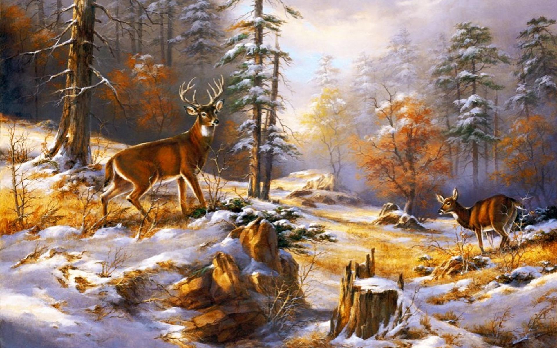 1920x1200 Wood Pretty Deer Early Winter wallpaper. Wood Pretty Deer Early Winter