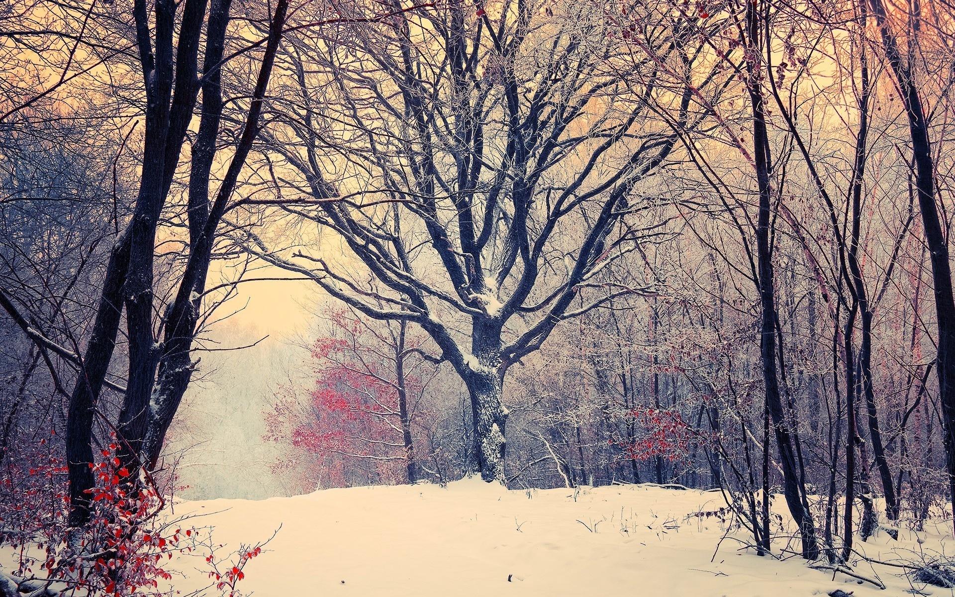 High-Quality Winter Sunshine And Settled Conditions Set To Continue In Coming Days Abstract Photography High-Quality Winter Sunshine And Settled Conditions Set To Continue In Coming Days Abstract Photography