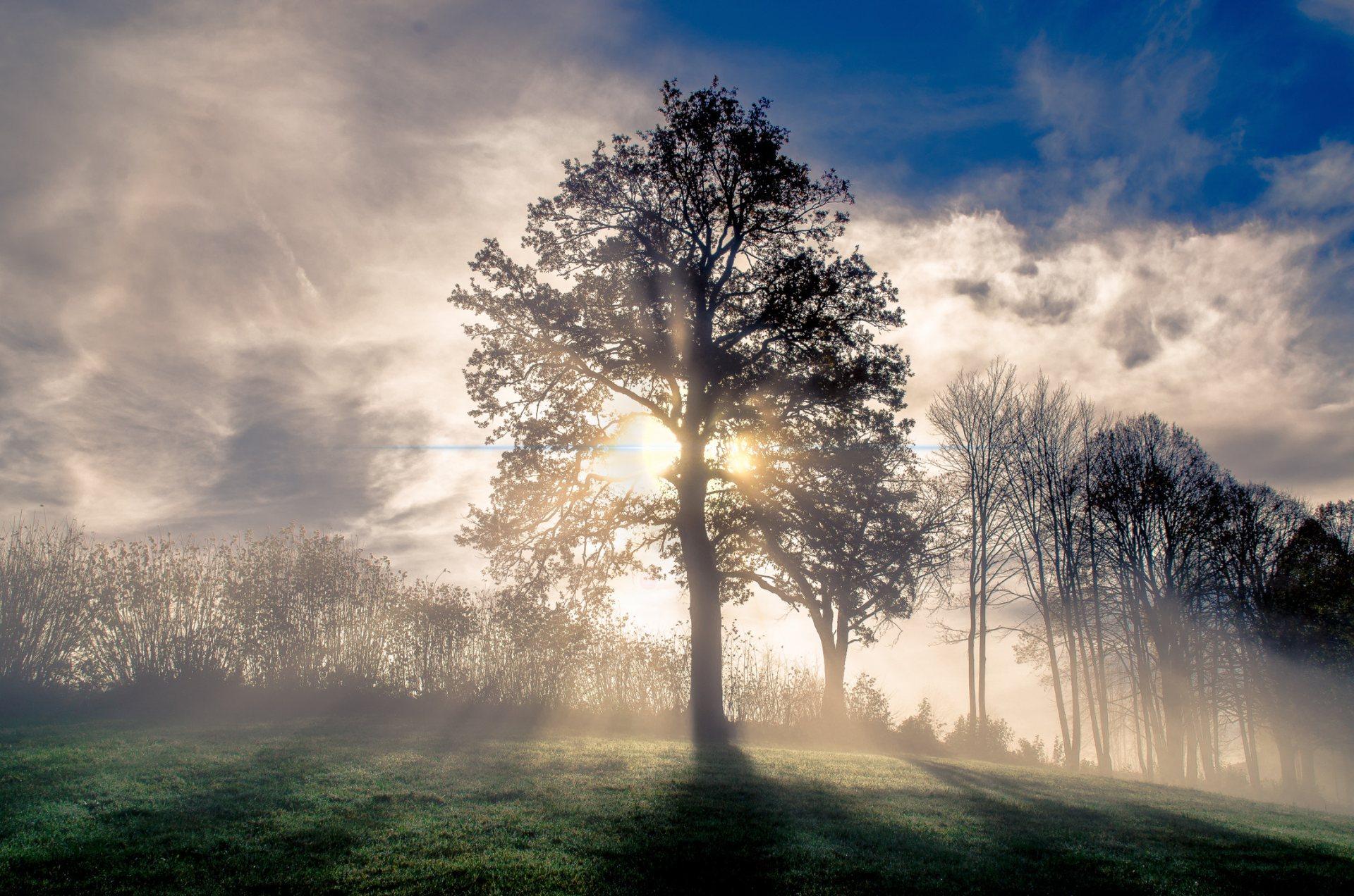 1920x1272 Free download Early Winter Wallpaper HD to Download [1920x1272] for your Desktop, Mobile & Tablet. Explore Winter Wallpaper Image Free. Free Winter Wallpaper, Winter Wallpaper Photo