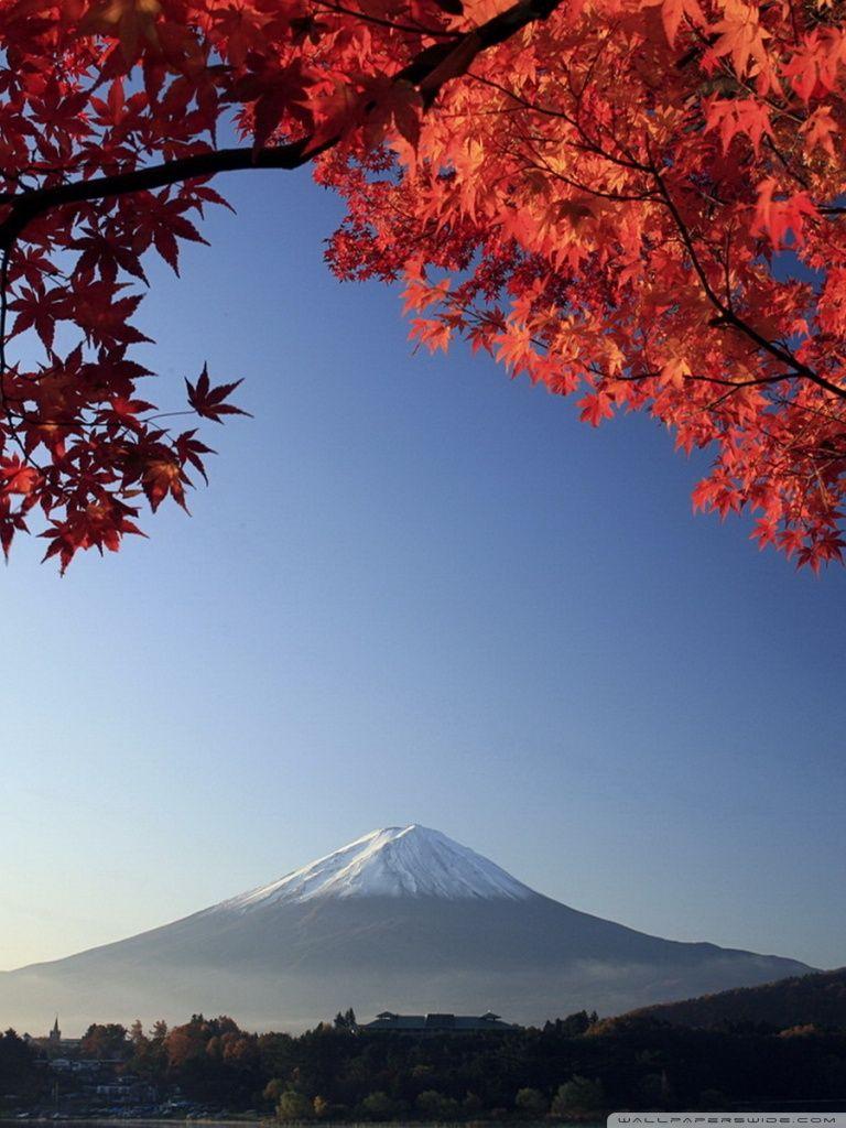 768x1024 Autumn, Mount Fuji, Japan ❤ 4K HD Desktop Wallpaper for 4K Ultra HD