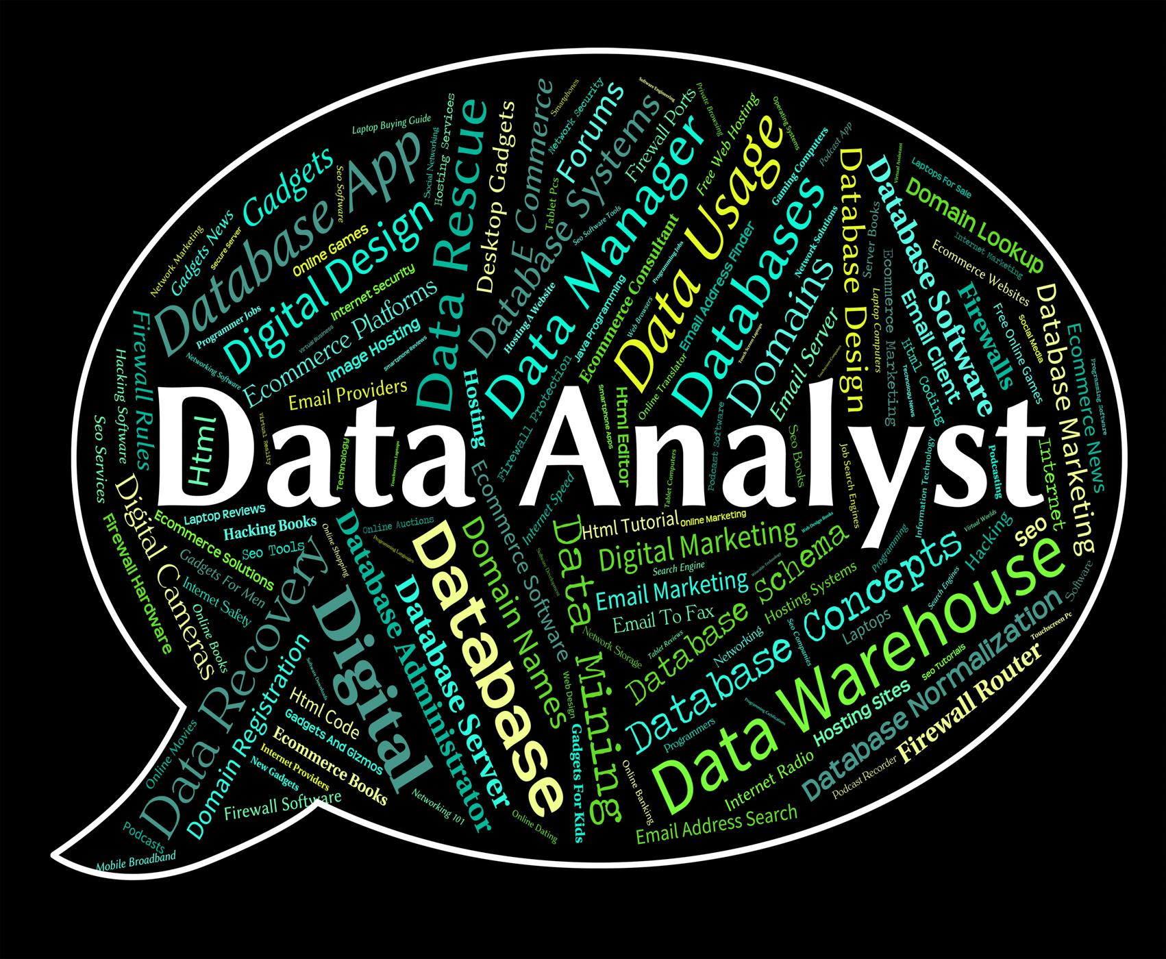 1702x1400 Free photo: Data Analyst Shows Analyser Words And Analysts, Data, Word