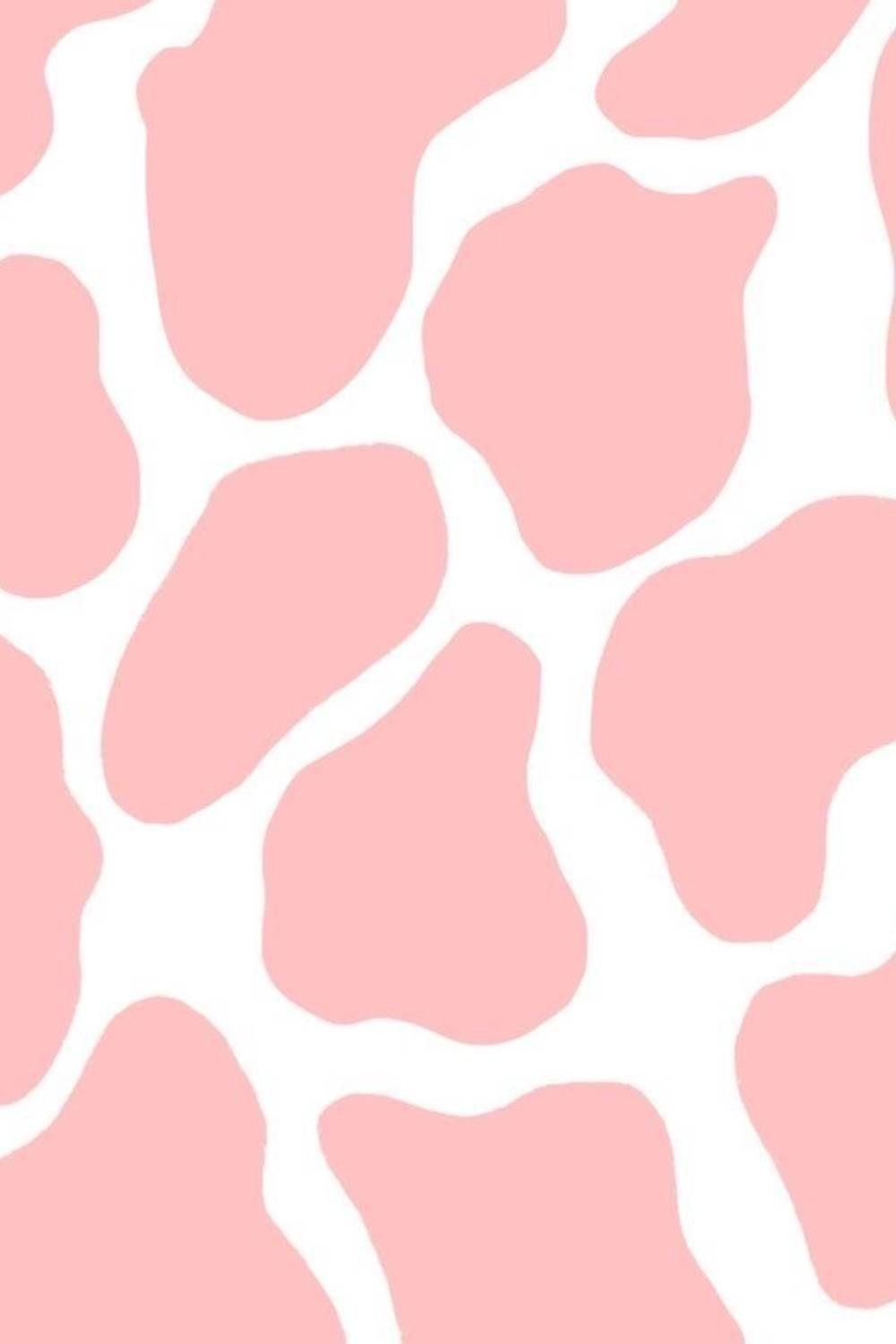 Download Cow Print Pink Shadow Wallpaper  Wallpaperscom