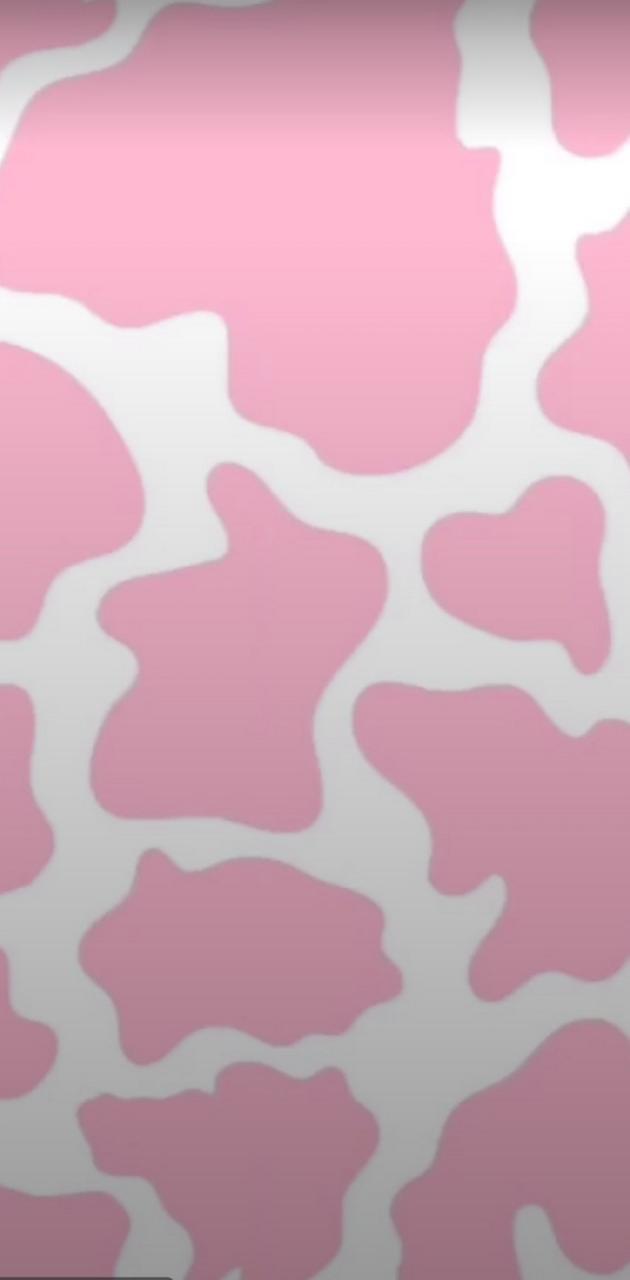 Pink Cow Wallpapers Top Free Pink Cow Backgrounds WallpaperAccess
