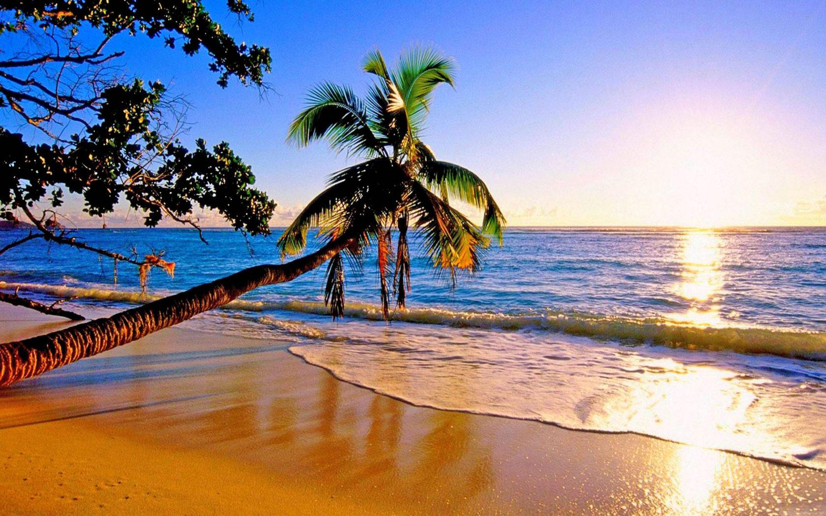 1680x1050 Hawaii Paradise Beach Ocean trees palm nature sunset Wallpaper HD :