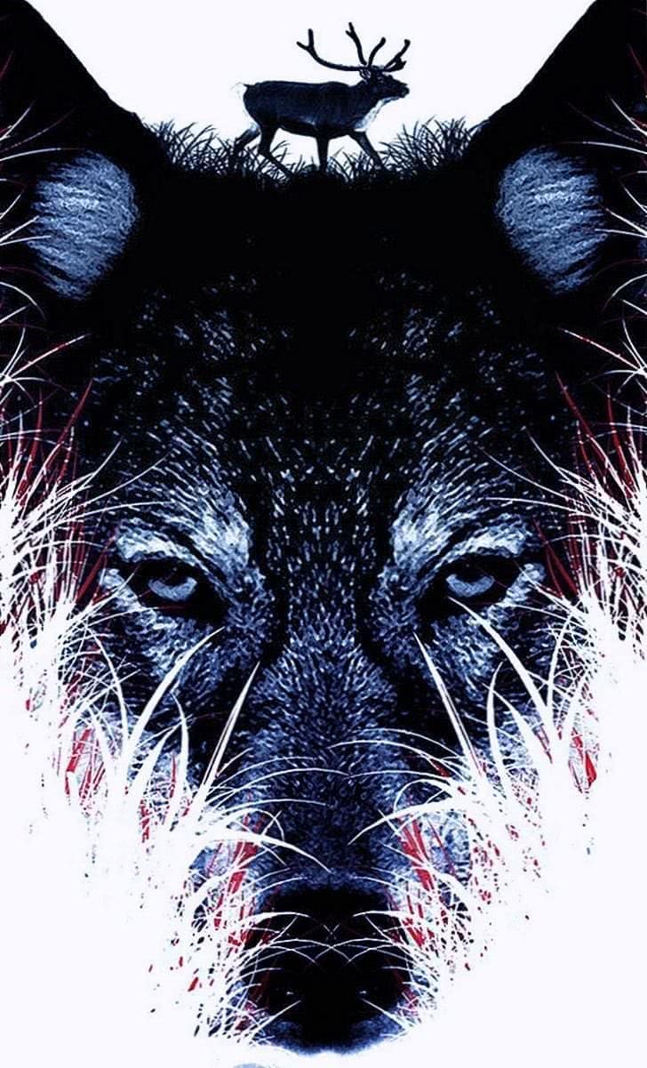 728x1201 Alpha Wolf IPhone Wallpaper Wallpaper.pro
