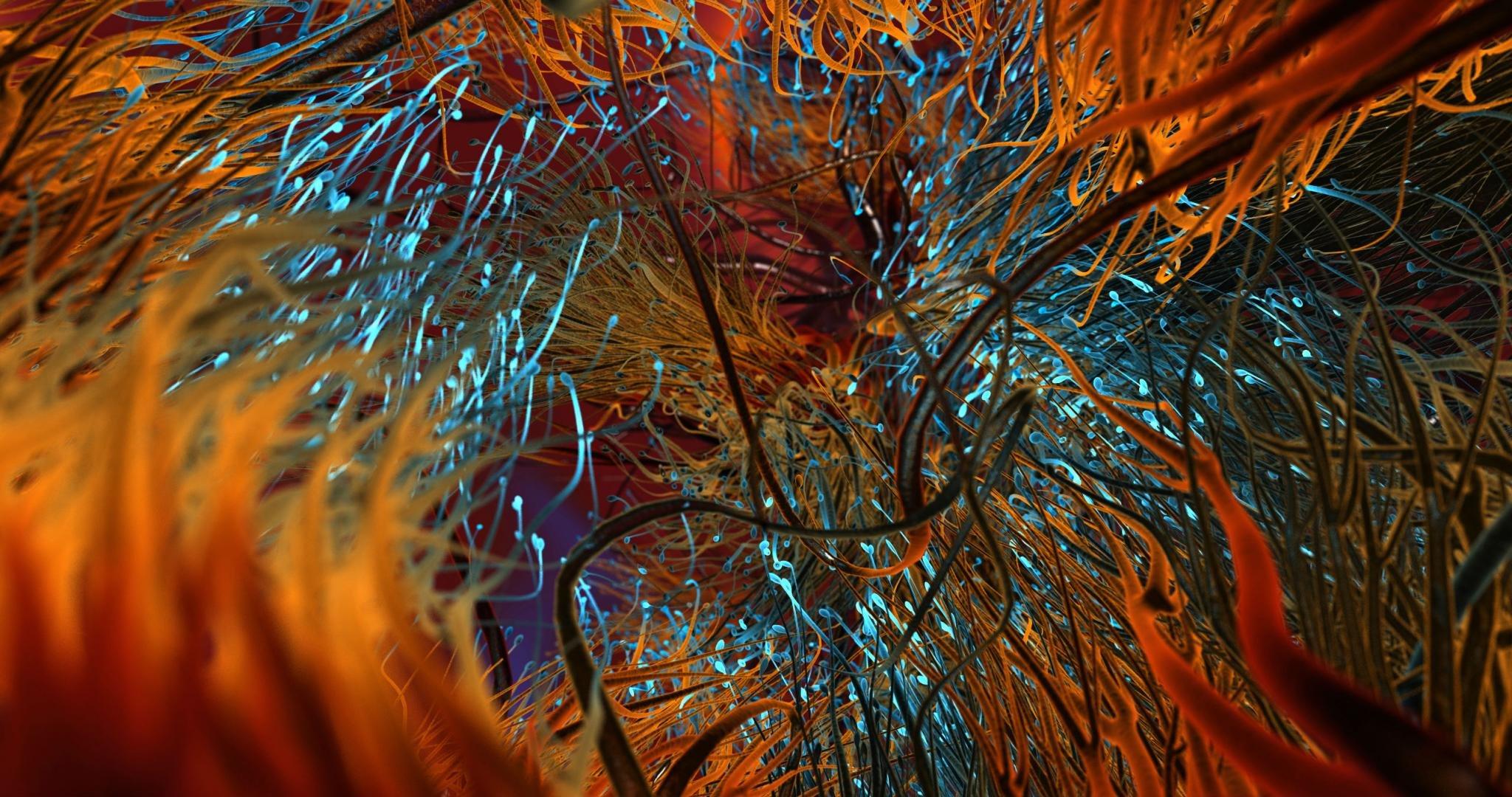 Digital Art Desktop Wallpapers Top Free Digital Art Desktop