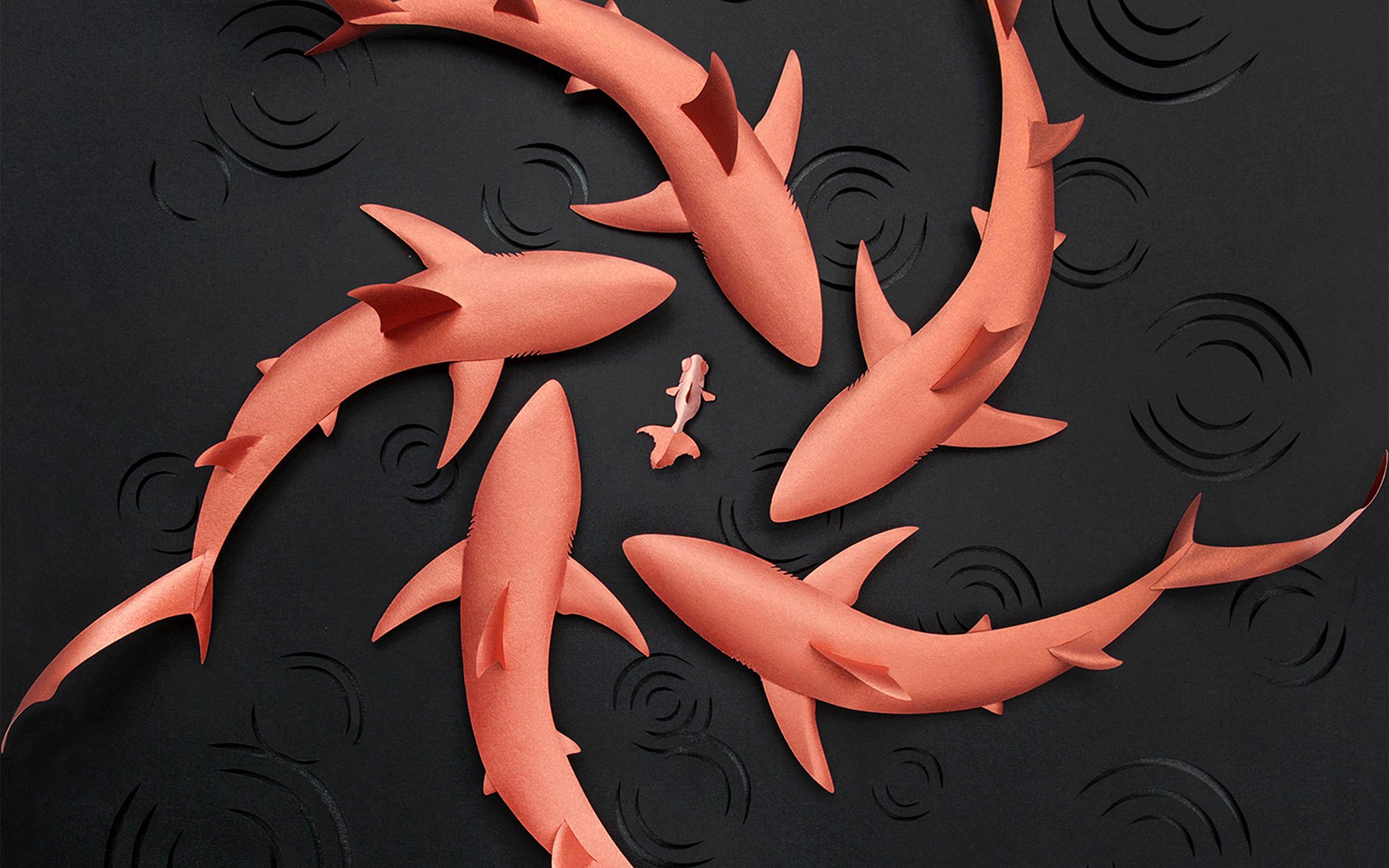 2560x1600 Fish Pink Rose Gold Shark Art Illustration Wallpaper