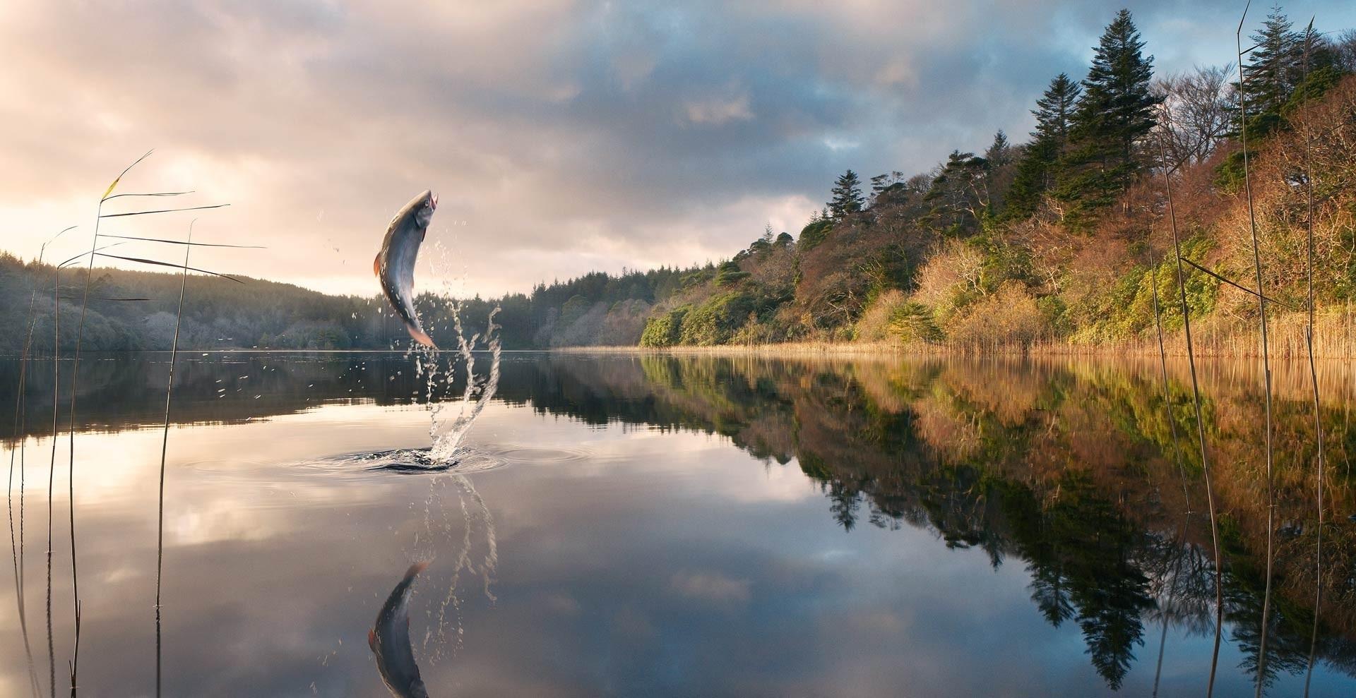 1920x989 Fishing Wallpaper Photos