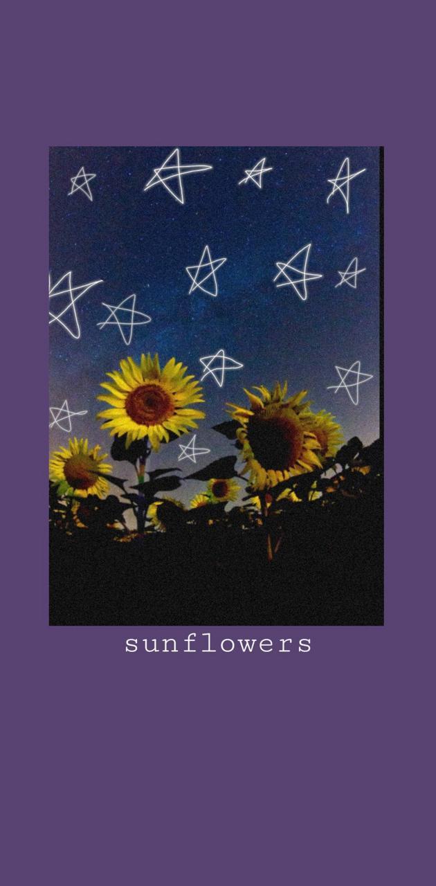 630x1280 Aesthetic sunflowers wallpaper