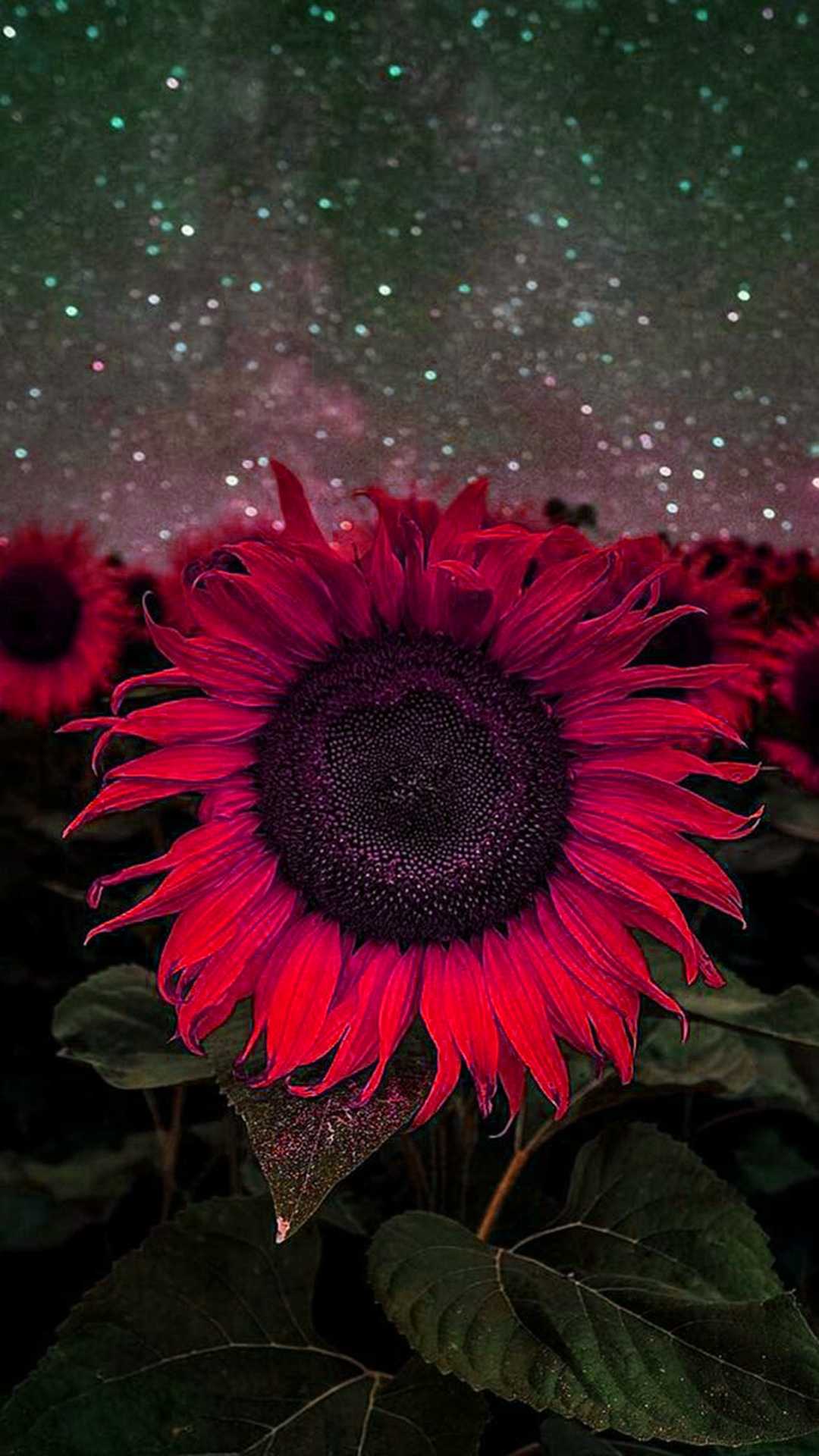 1080x1920 Sunflower Wallpaper