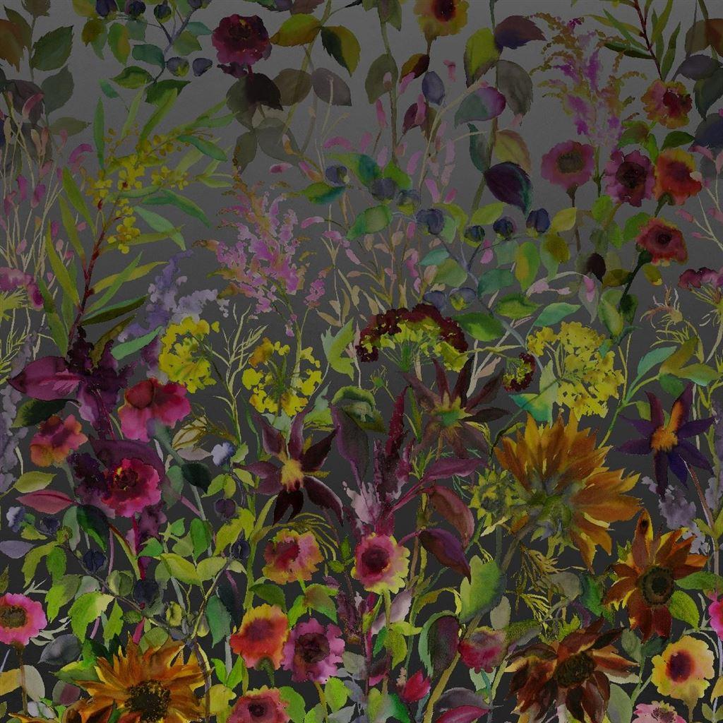 1024x1024 Indian Sunflower Graphite Wallpaper