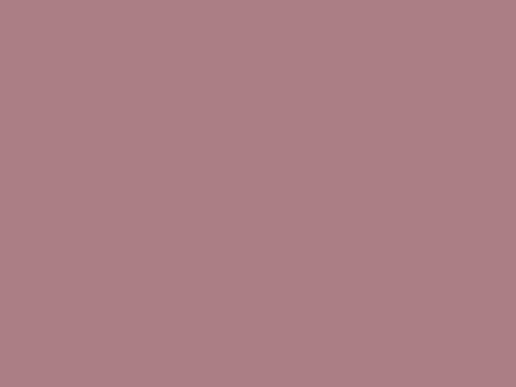 1024x768 Rustic Rose Gold color hex code is #AB7E85