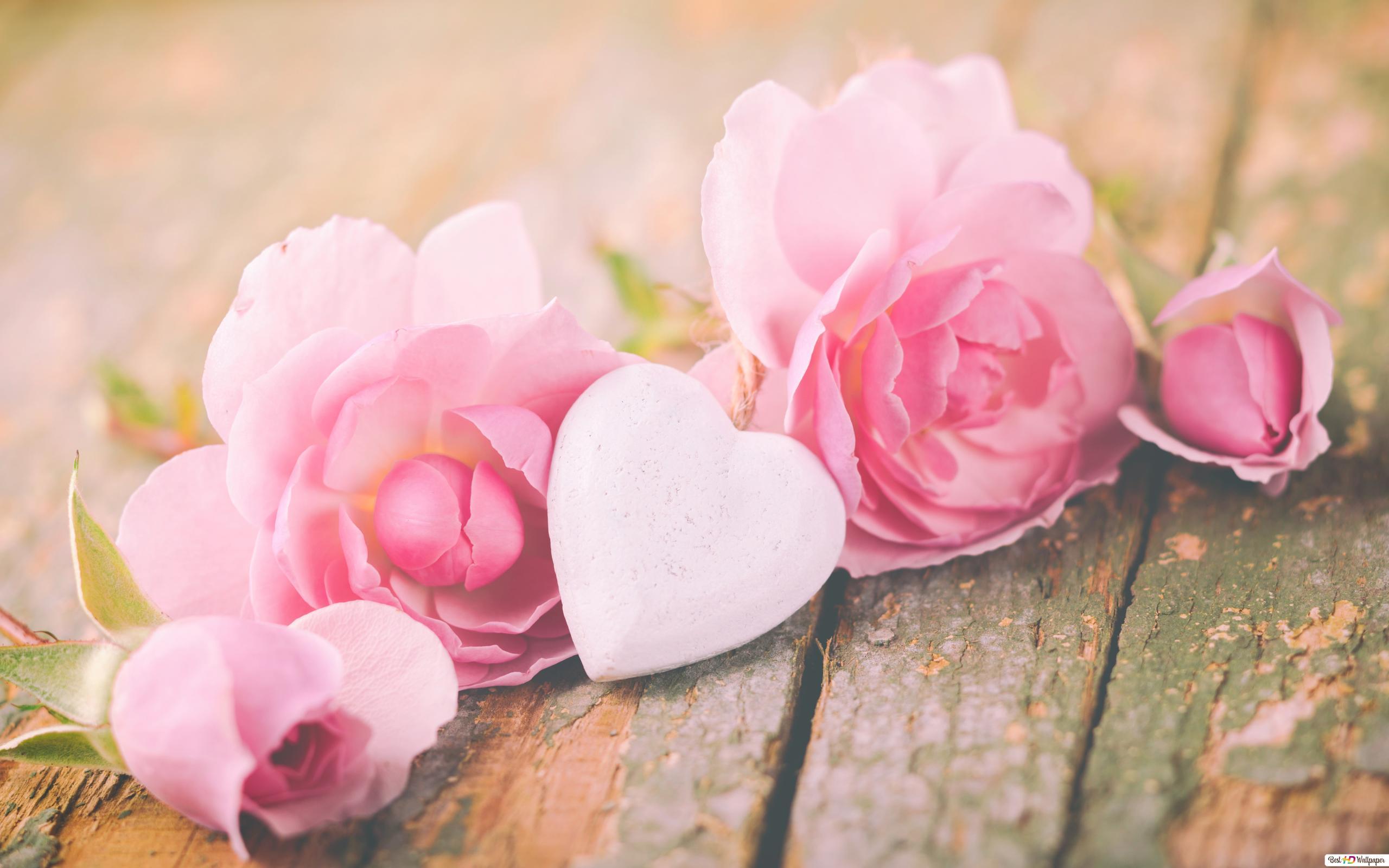 Rustic Rose Wallpapers Top Free Rustic Rose Backgrounds WallpaperAccess