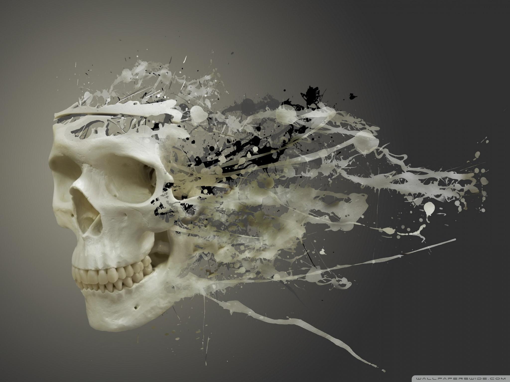 2048x1536 Disintegrating Skull Ultra HD Desktop Background Wallpaper for 4K UHD TV : Tablet