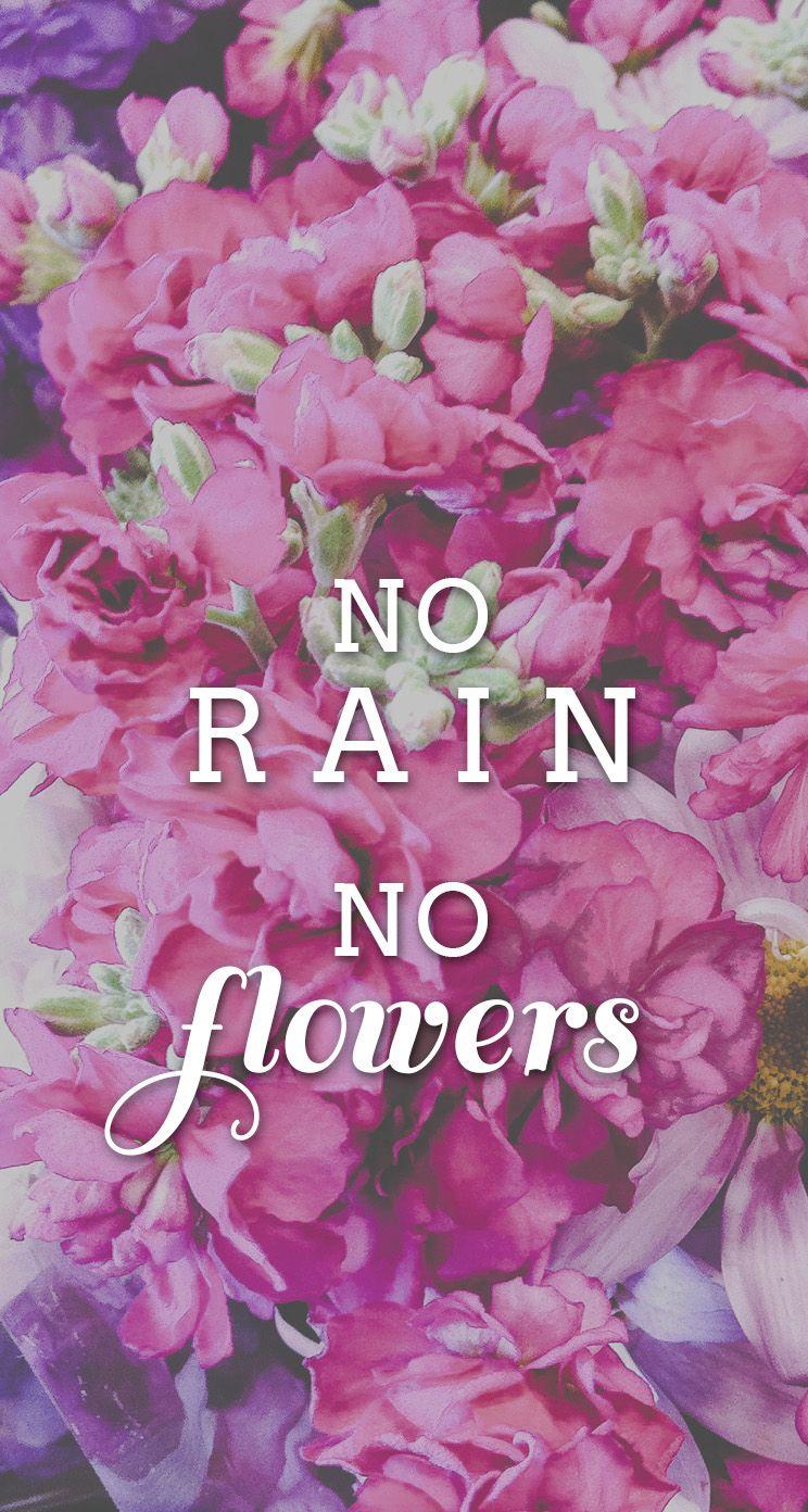 No Rain No Flowers Wallpapers - Top Free No Rain No Flowers Backgrounds