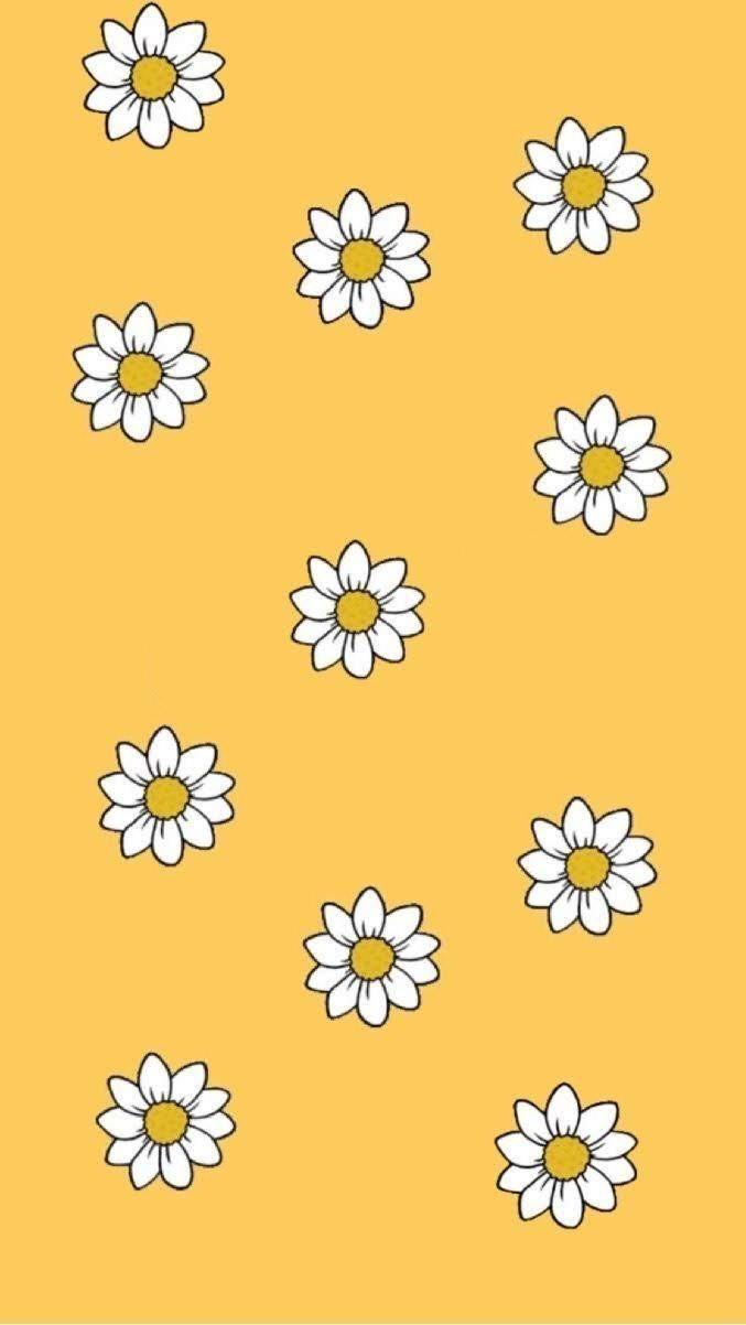 677x1202 cure wallpaper uploaded by