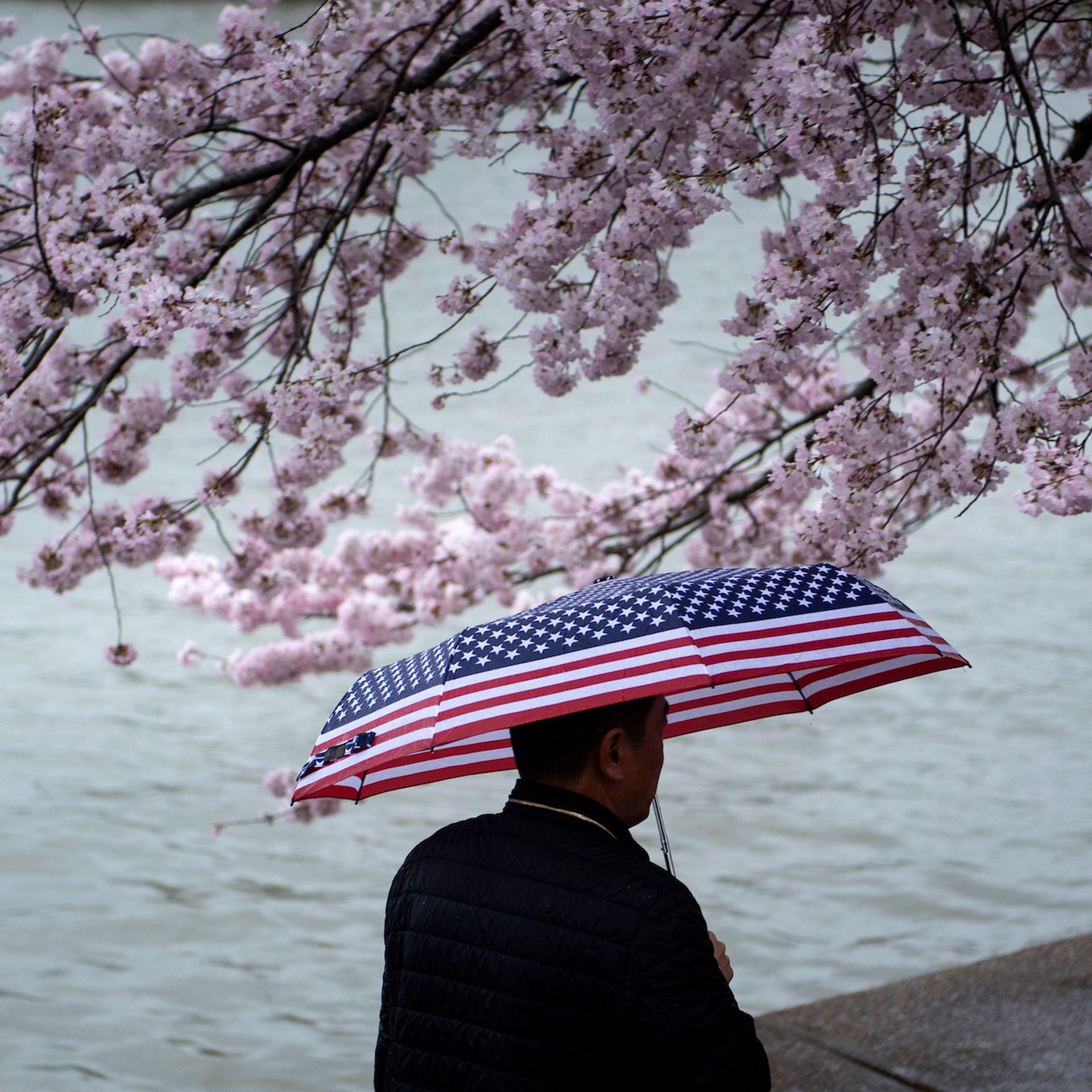 1920x1920 New U.S. weather model still won't be more accurate than European models