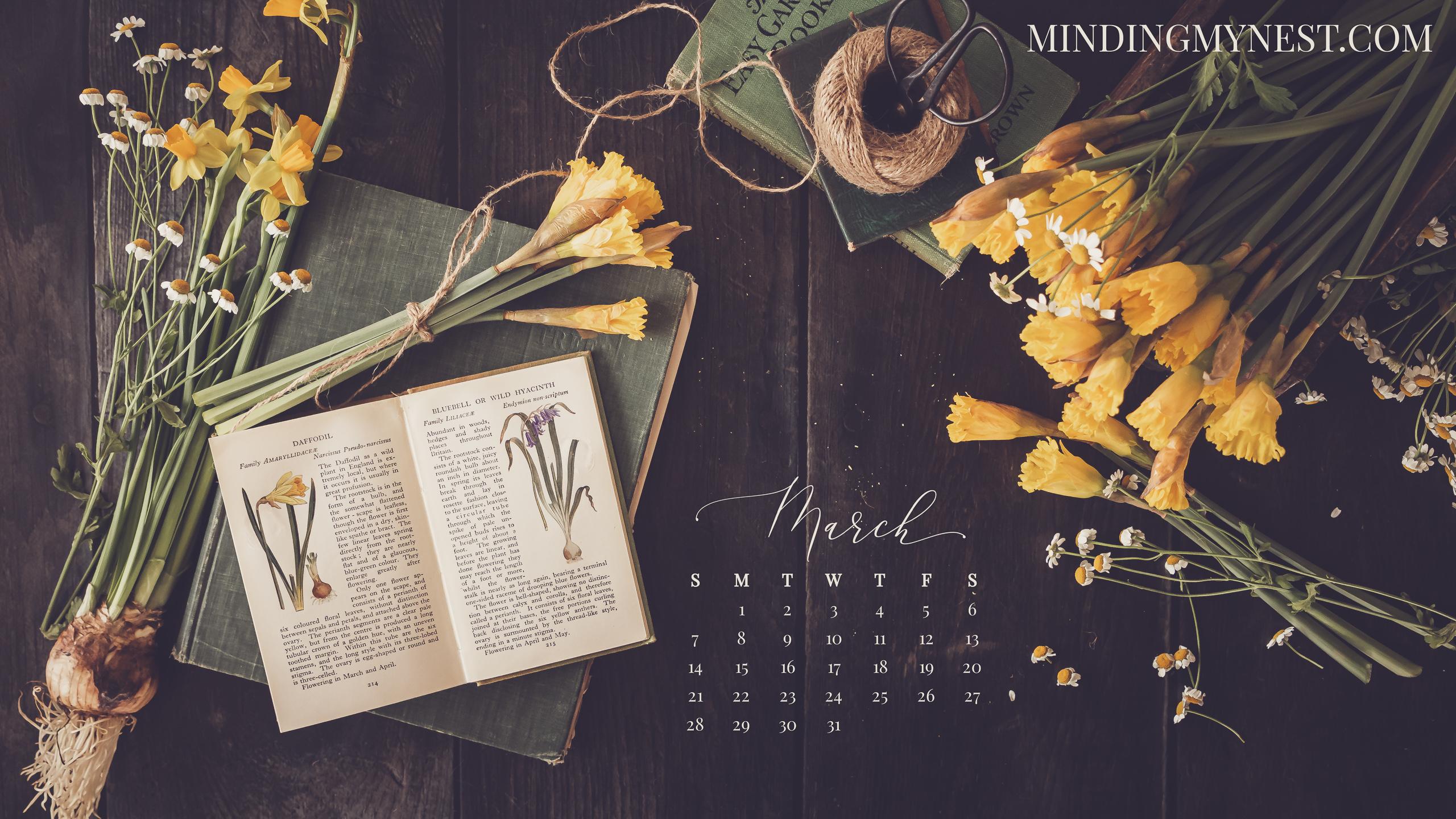 2560x1440 Desktop & Device Calendars my nest