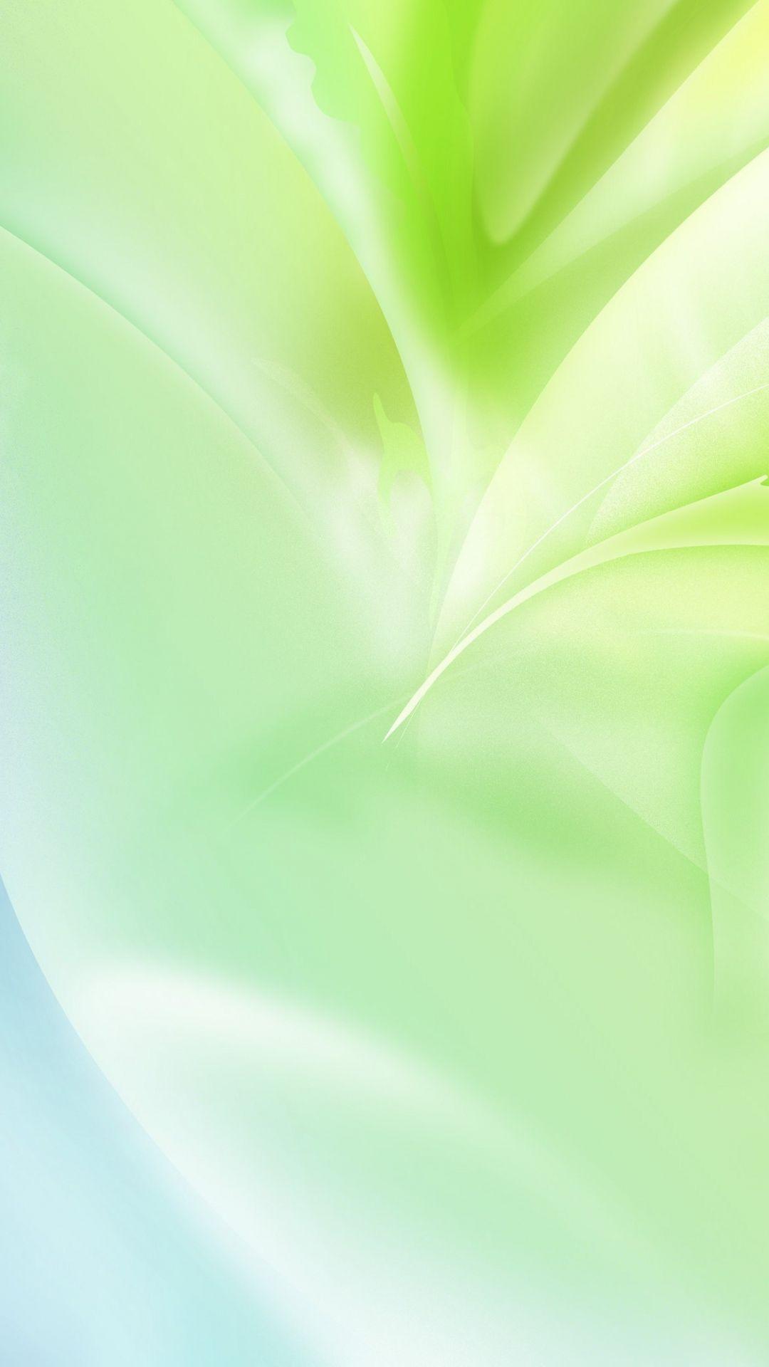White and Green Wallpapers - Top Free White and Green Backgrounds