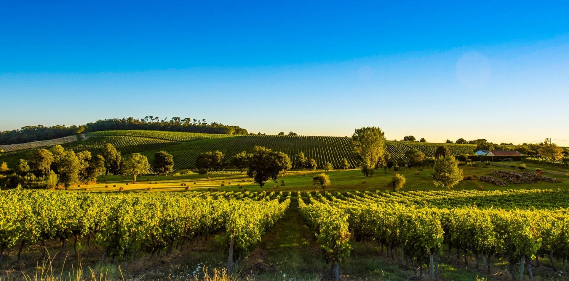 1920x950 The Ultimate Bordeaux Wine Region Guide