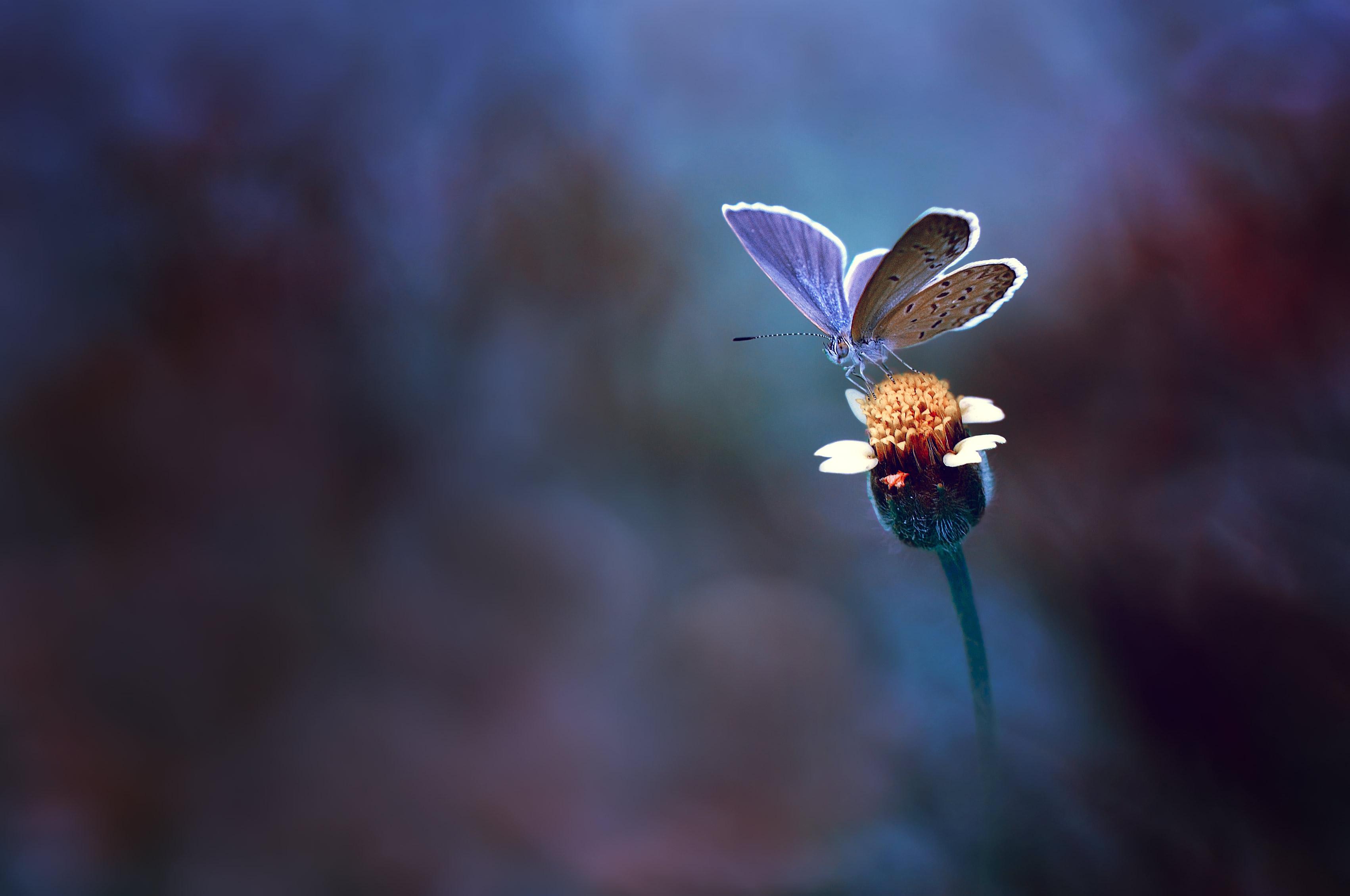 3404x2261 Original Resolution Popular Resolutions Photography Wallpaper & Background Download