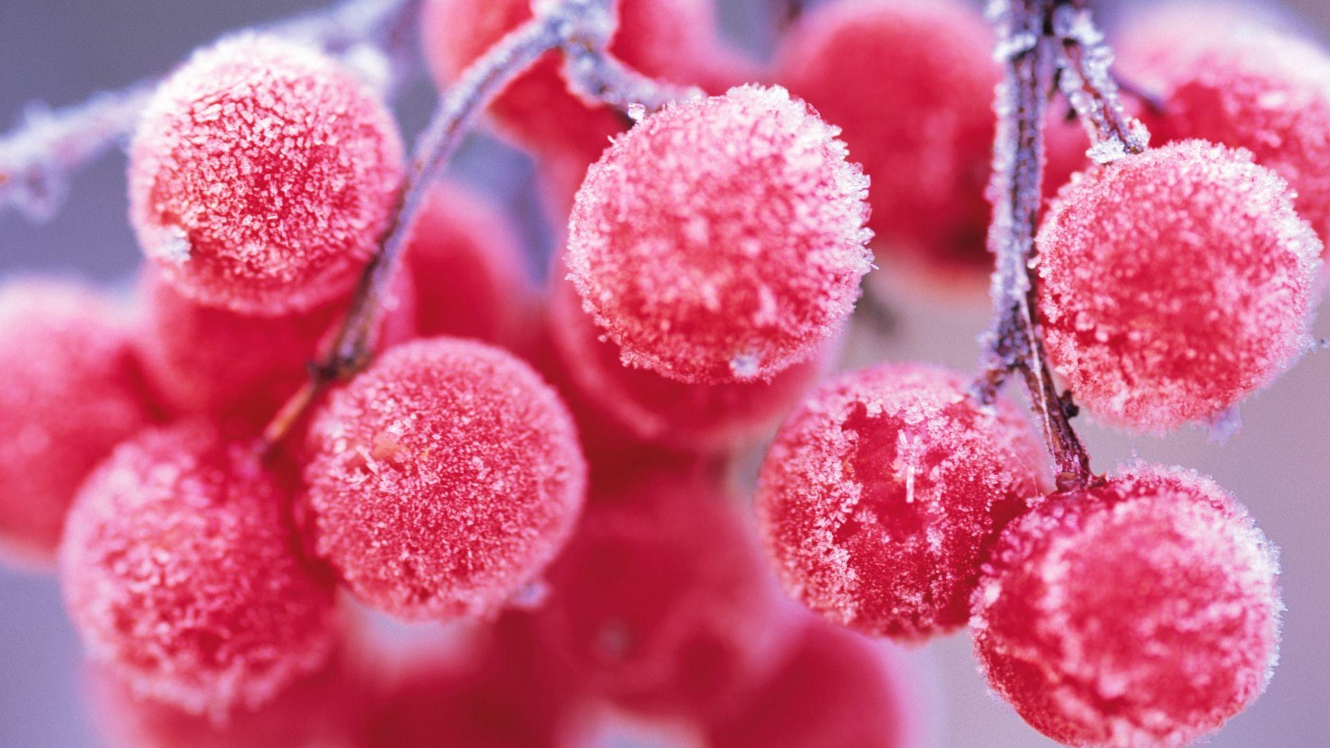 1920x1080 Macro Winter Wallpaper