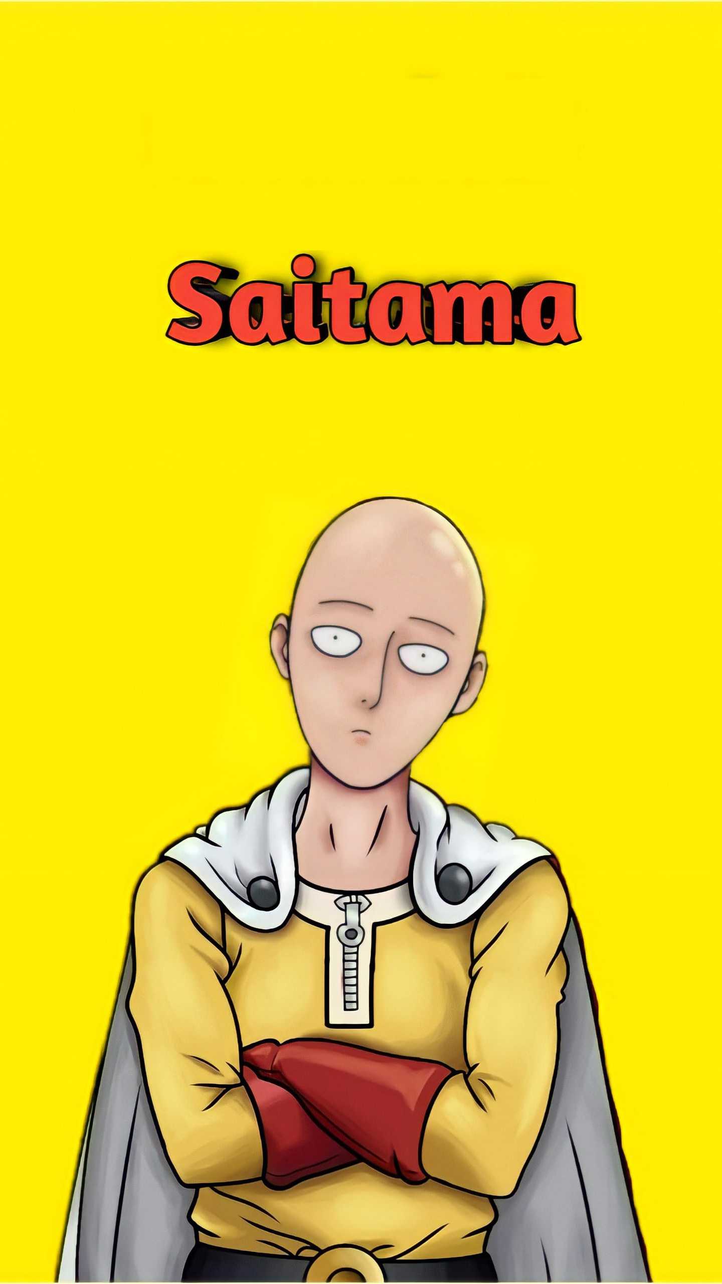 1440x2560 Saitama Wallpaper
