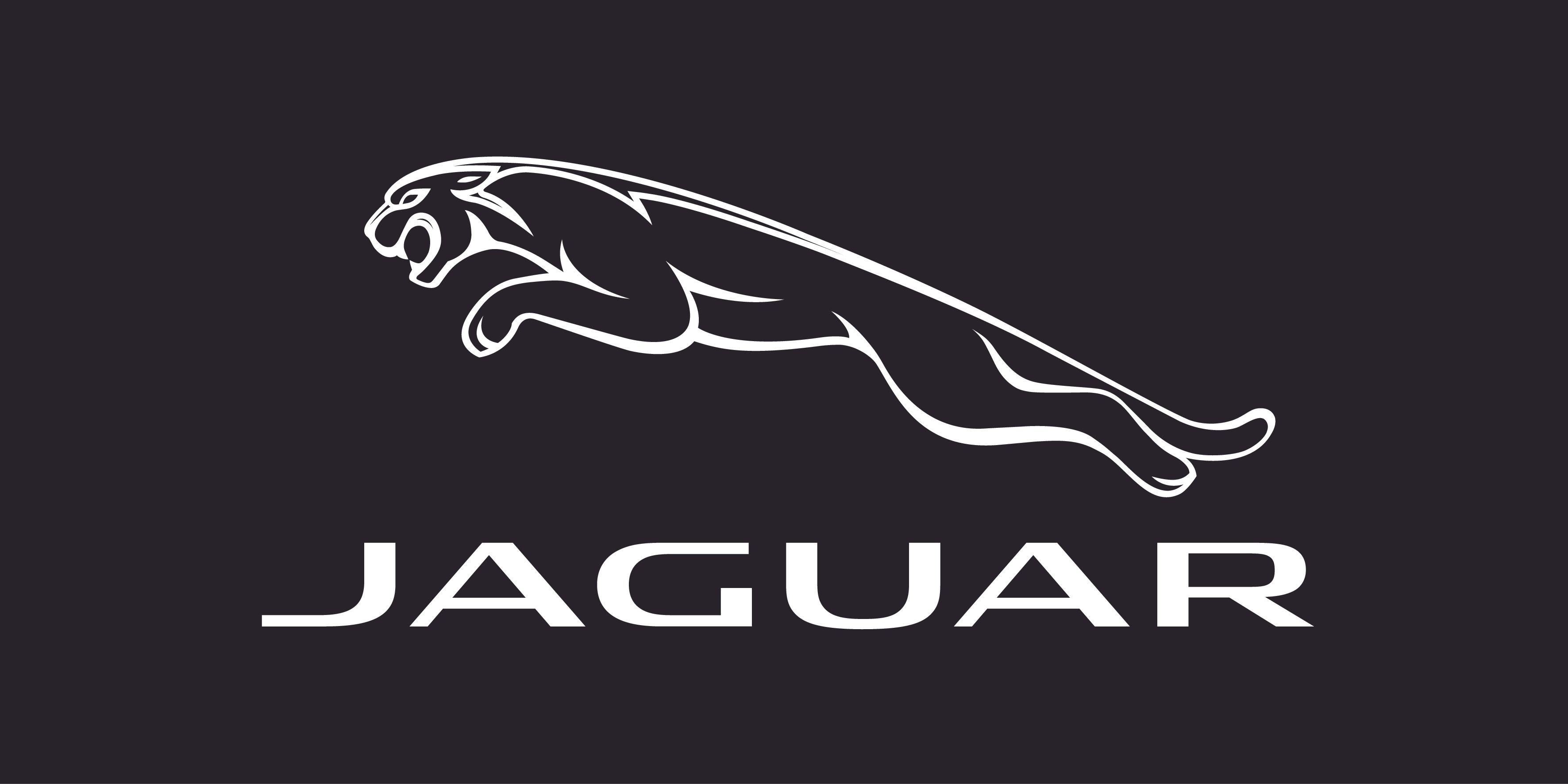 3543x1772 Best Car Logos of All Time (And Their Meanings)