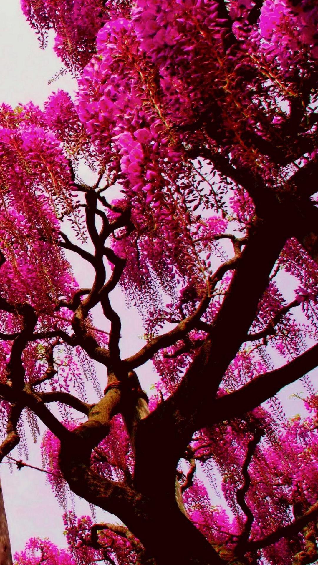 Nature Android HD Wallpapers - Top Free Nature Android HD Backgrounds