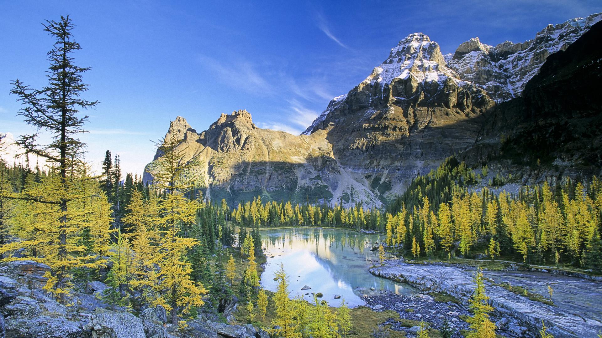 Amazing Landscape Wallpapers - Top Free Amazing Landscape Backgrounds ...