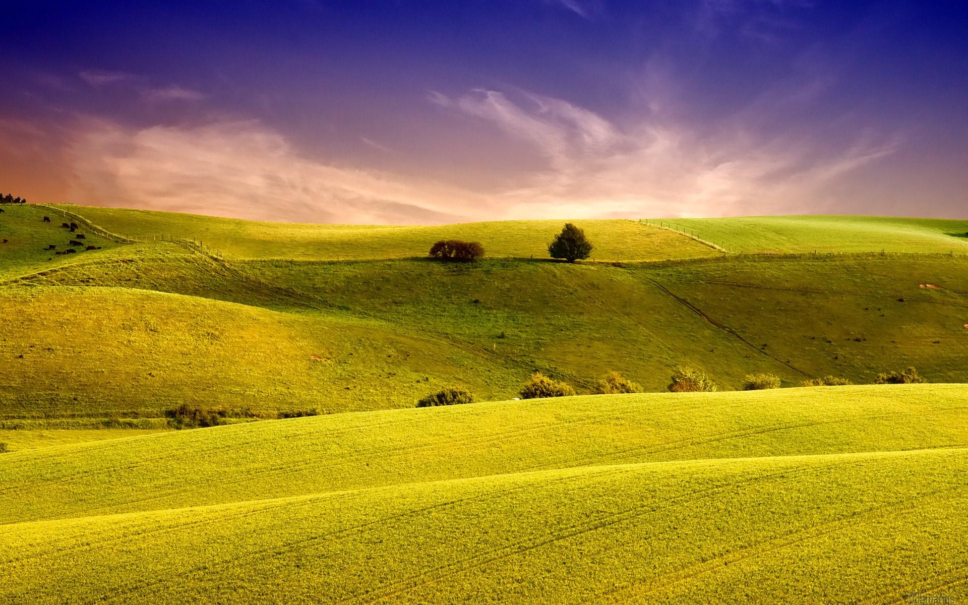 1920x1200 Amazing Landscape Wallpaper [1920x1200]