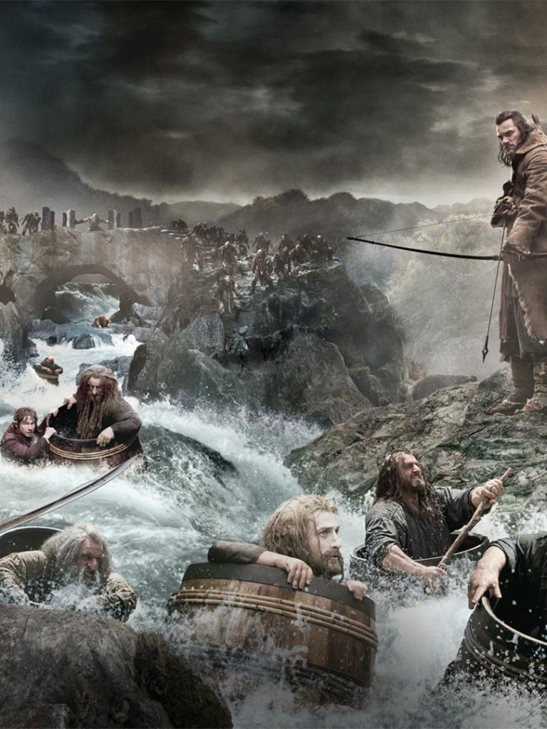 768x1024 The Hobbit: The Desolation of Smaug Characters iPad wallpaper