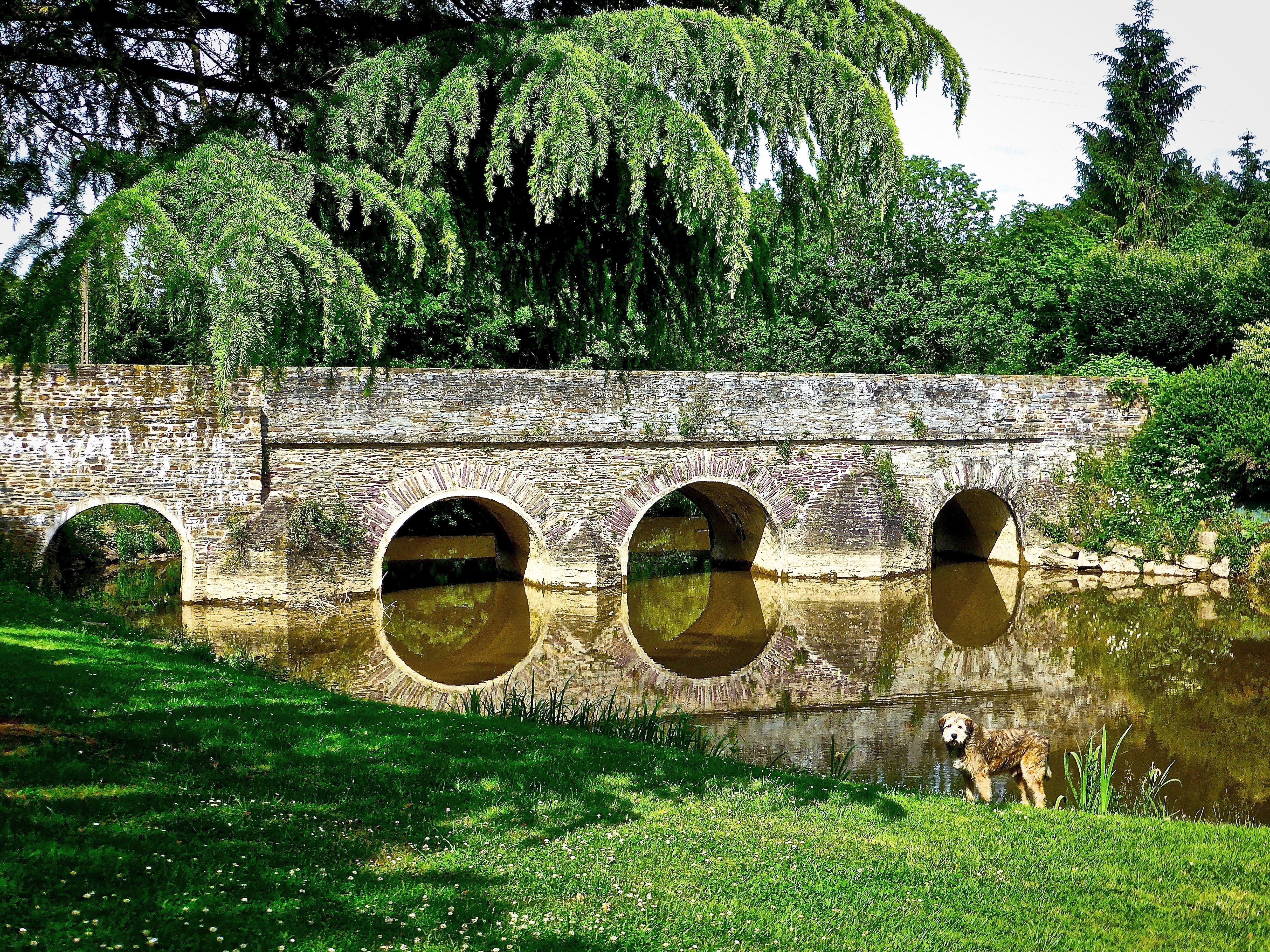4896x3672 River, Bridge, Arches, Ploermel, Stone, green color, grass free