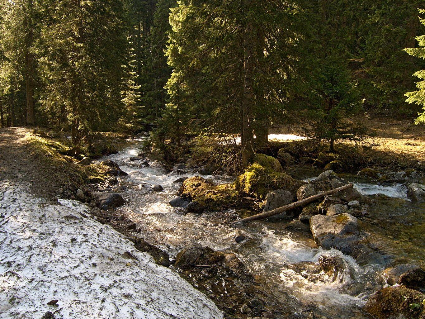 1365x1024 Slovakia wallpaper picture download