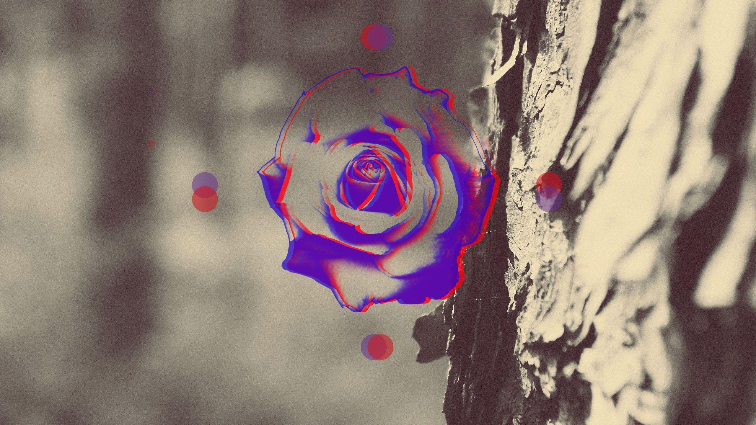 2560x1440 Anaglyph Wallpaper