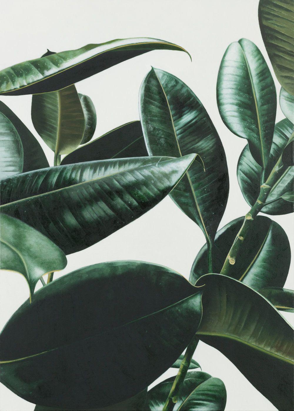 1000x1400 Plant Wallpaper You'll Love. Plant wallpaper, Plant photography, Plants